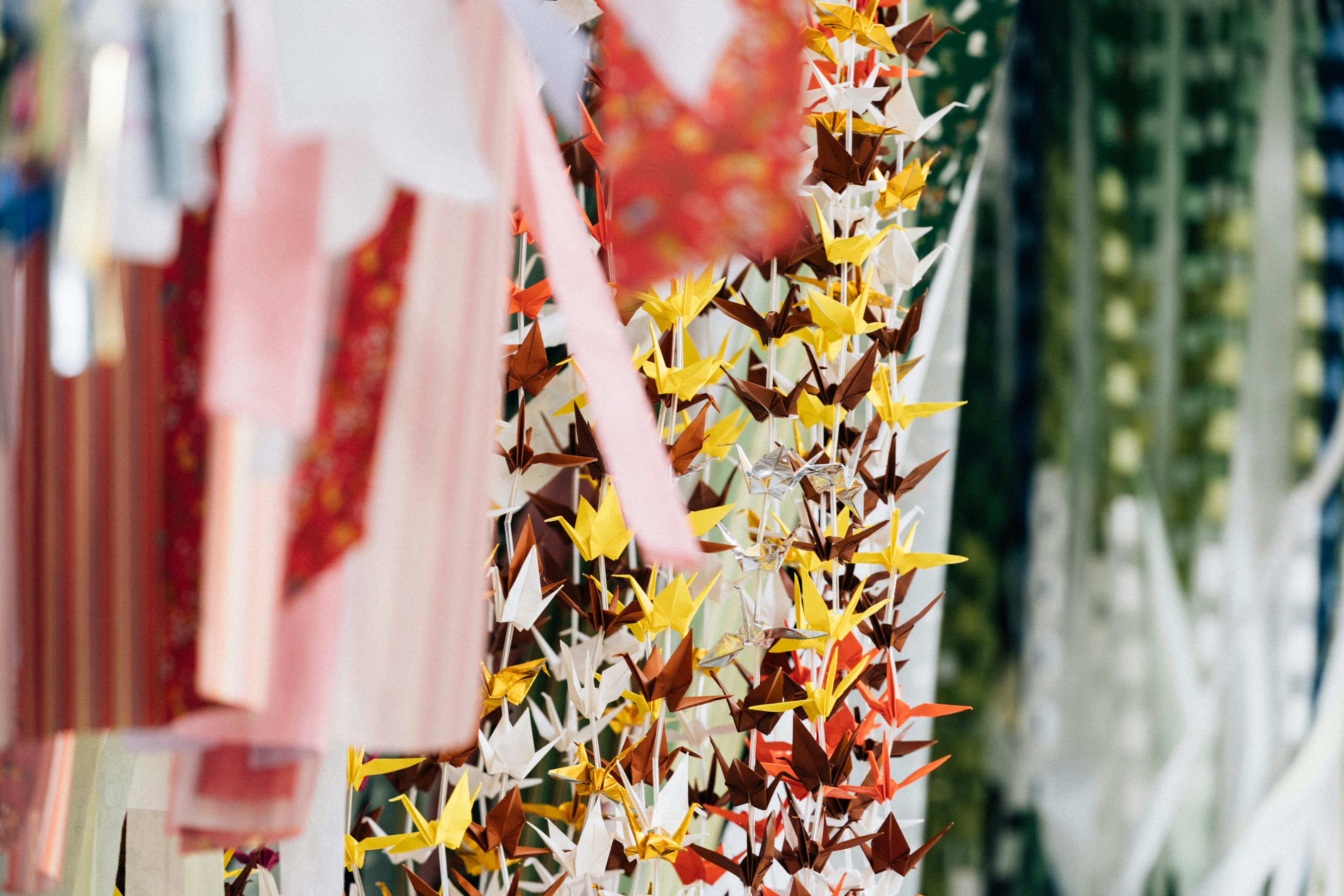 Photo by tsuyoshikozu