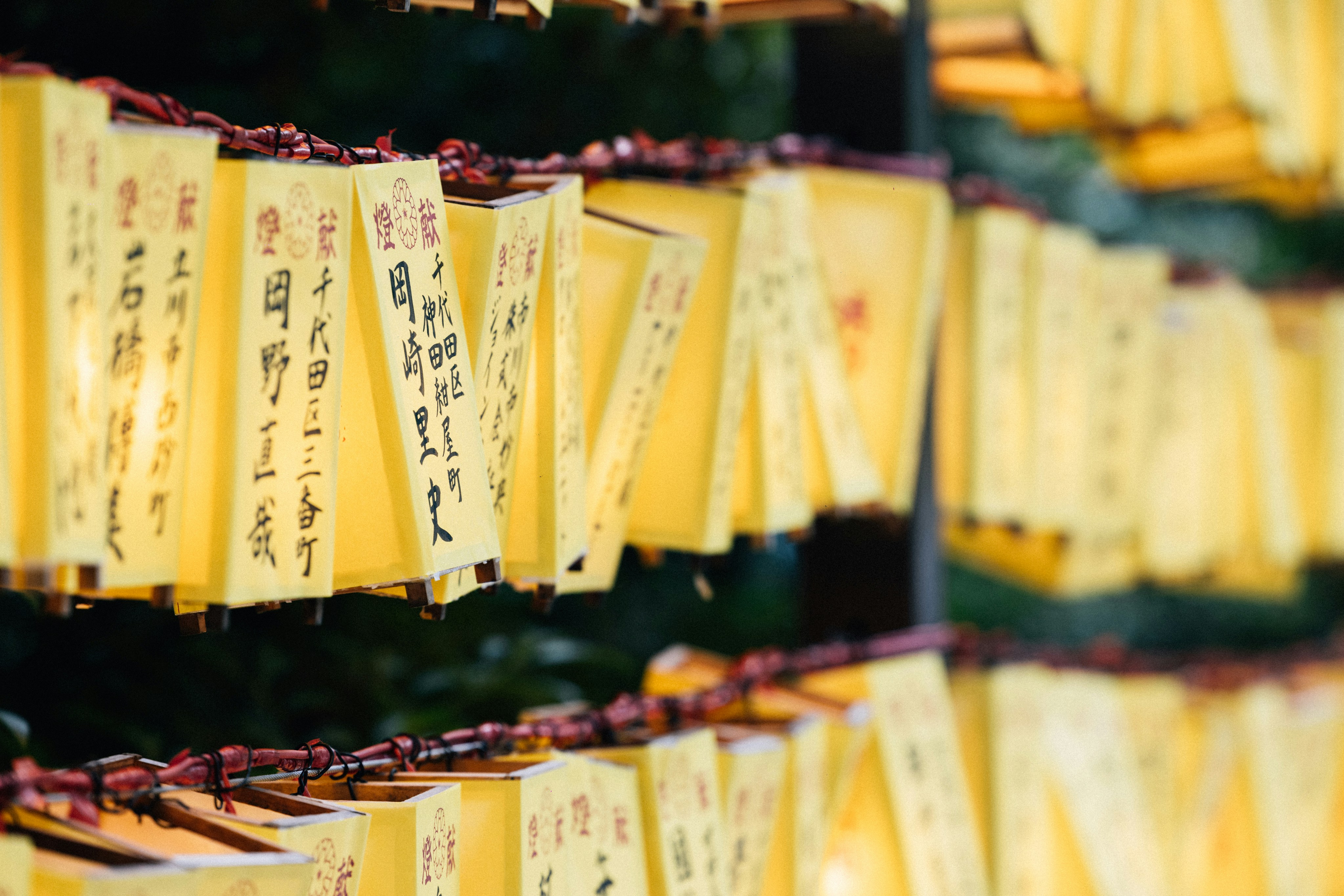 Omikuji paper fortunes tied to a rack at a Japanese shrine
