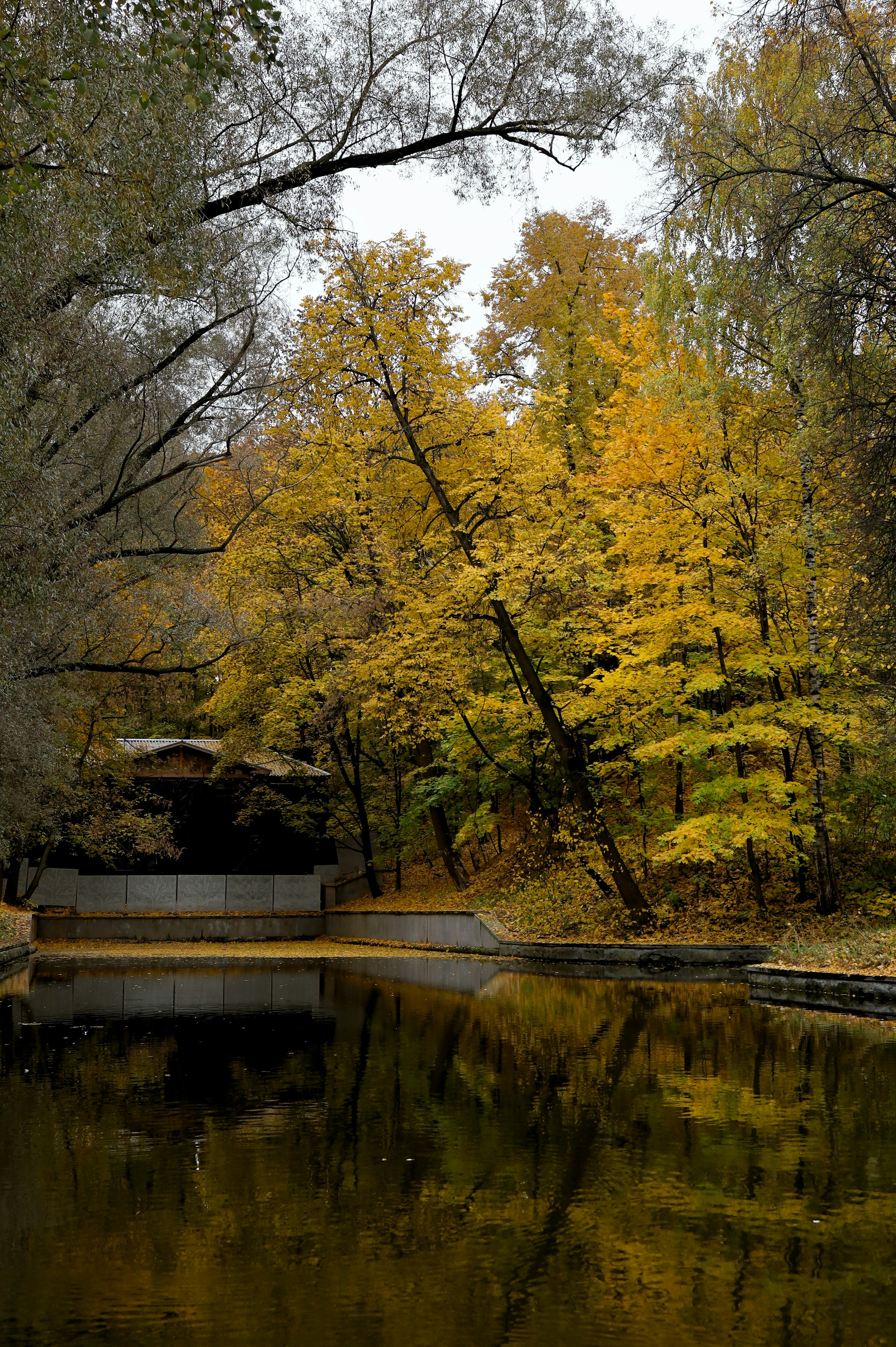 Photo by evgeniya_pron