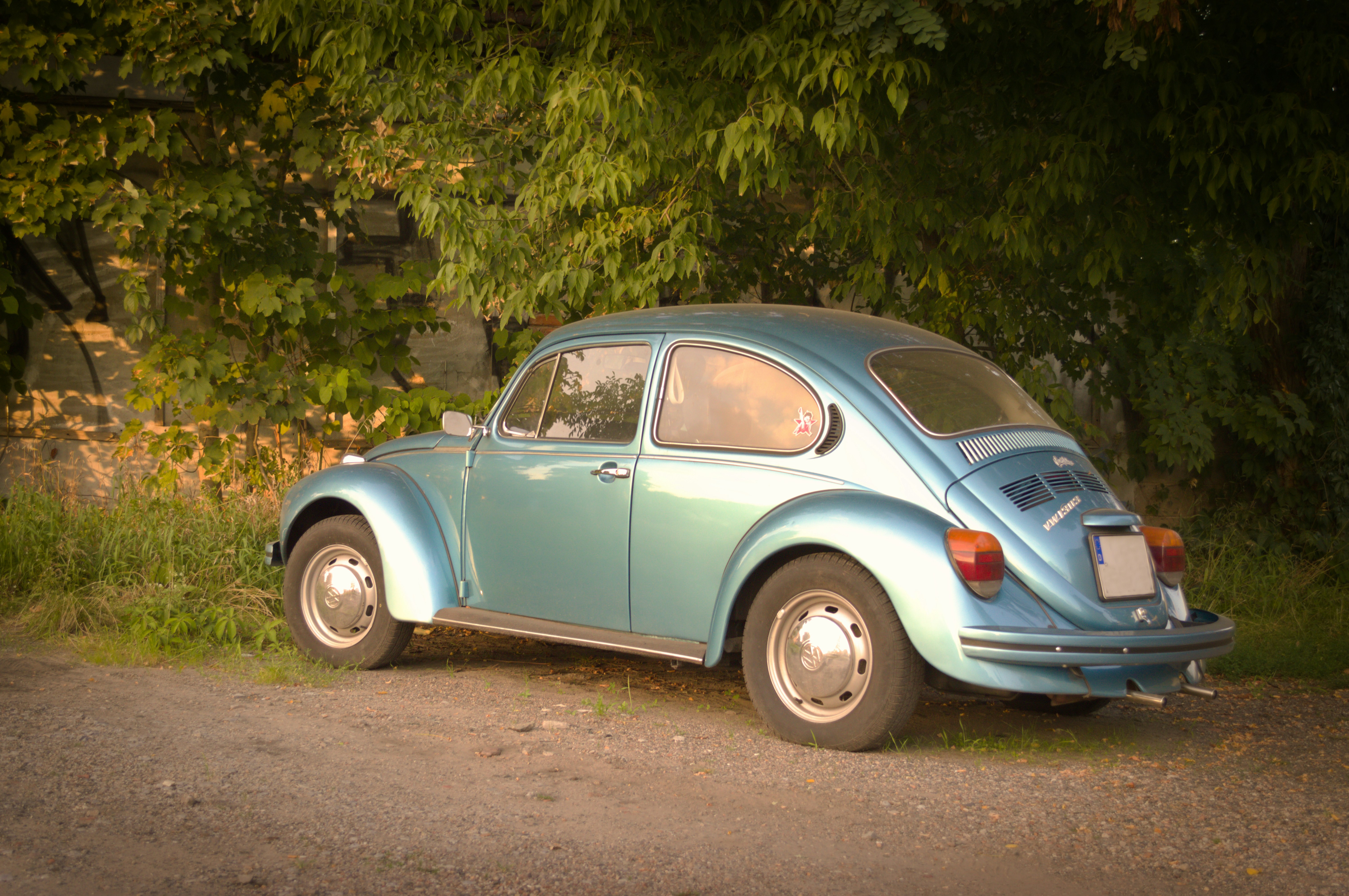 Photo by klarin_steffens