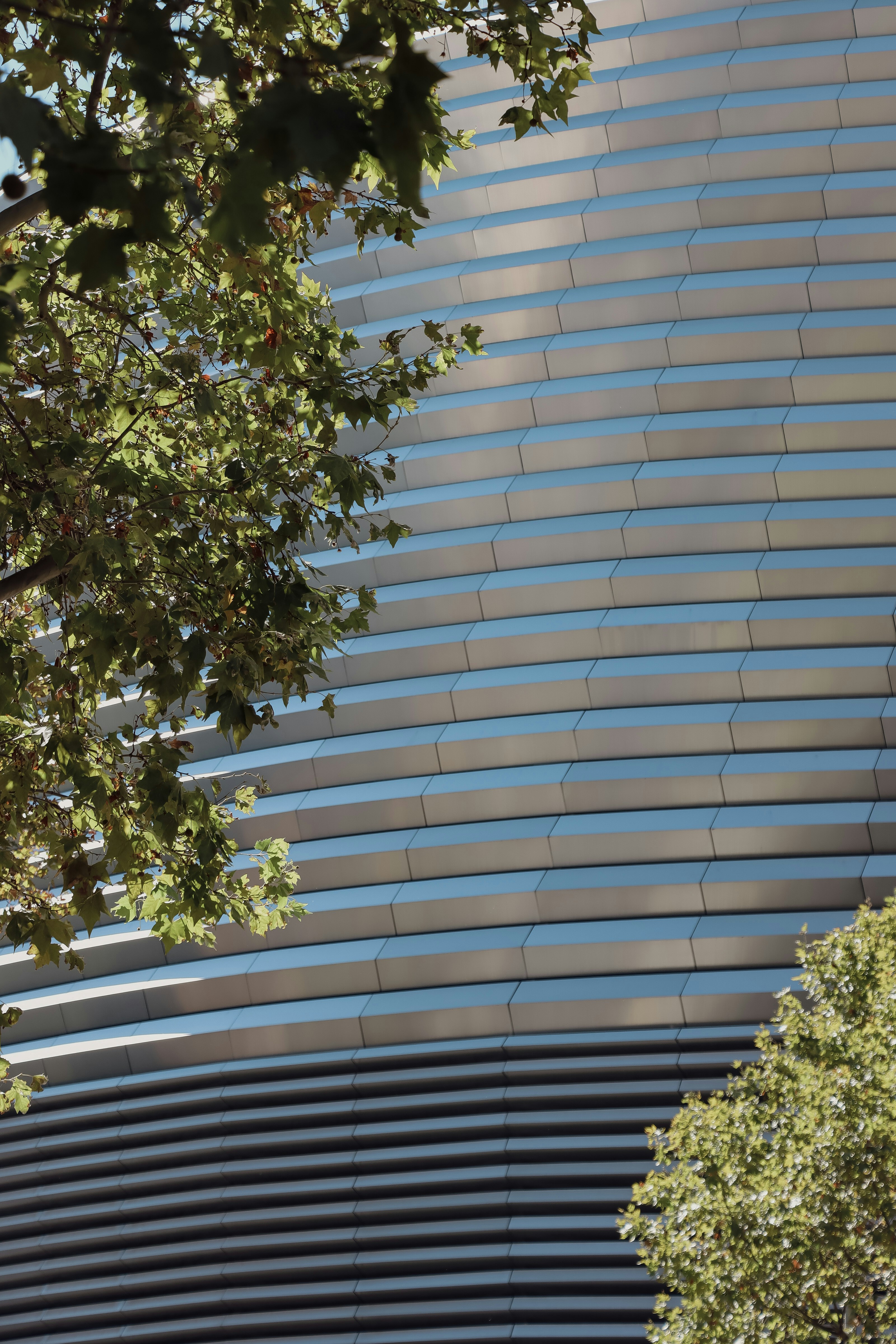 Photo by santiago_franco