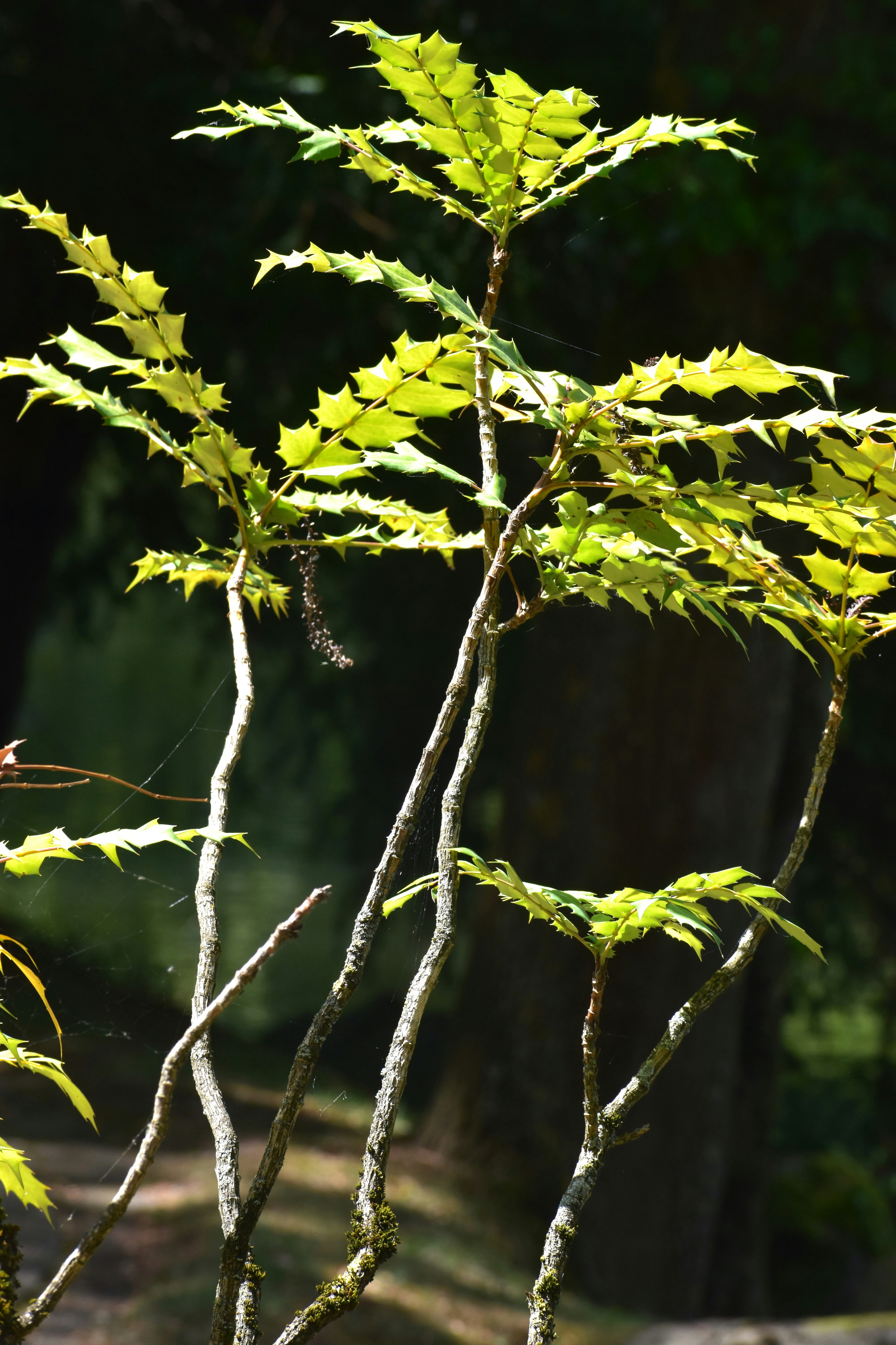 Photo by danielelarosa