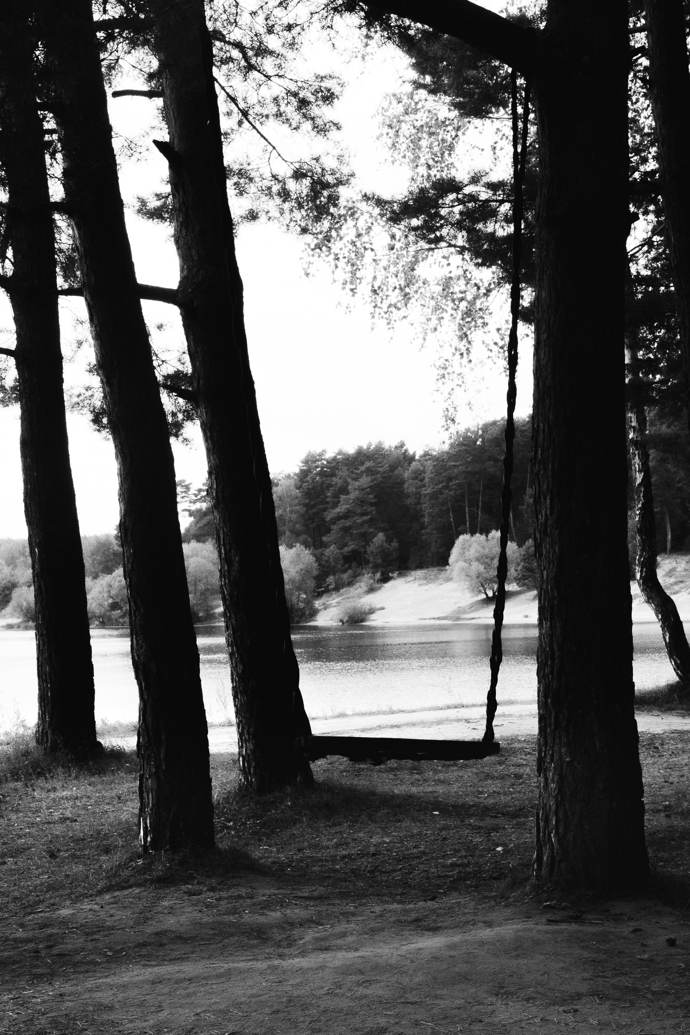 Photo by kulikovnik2