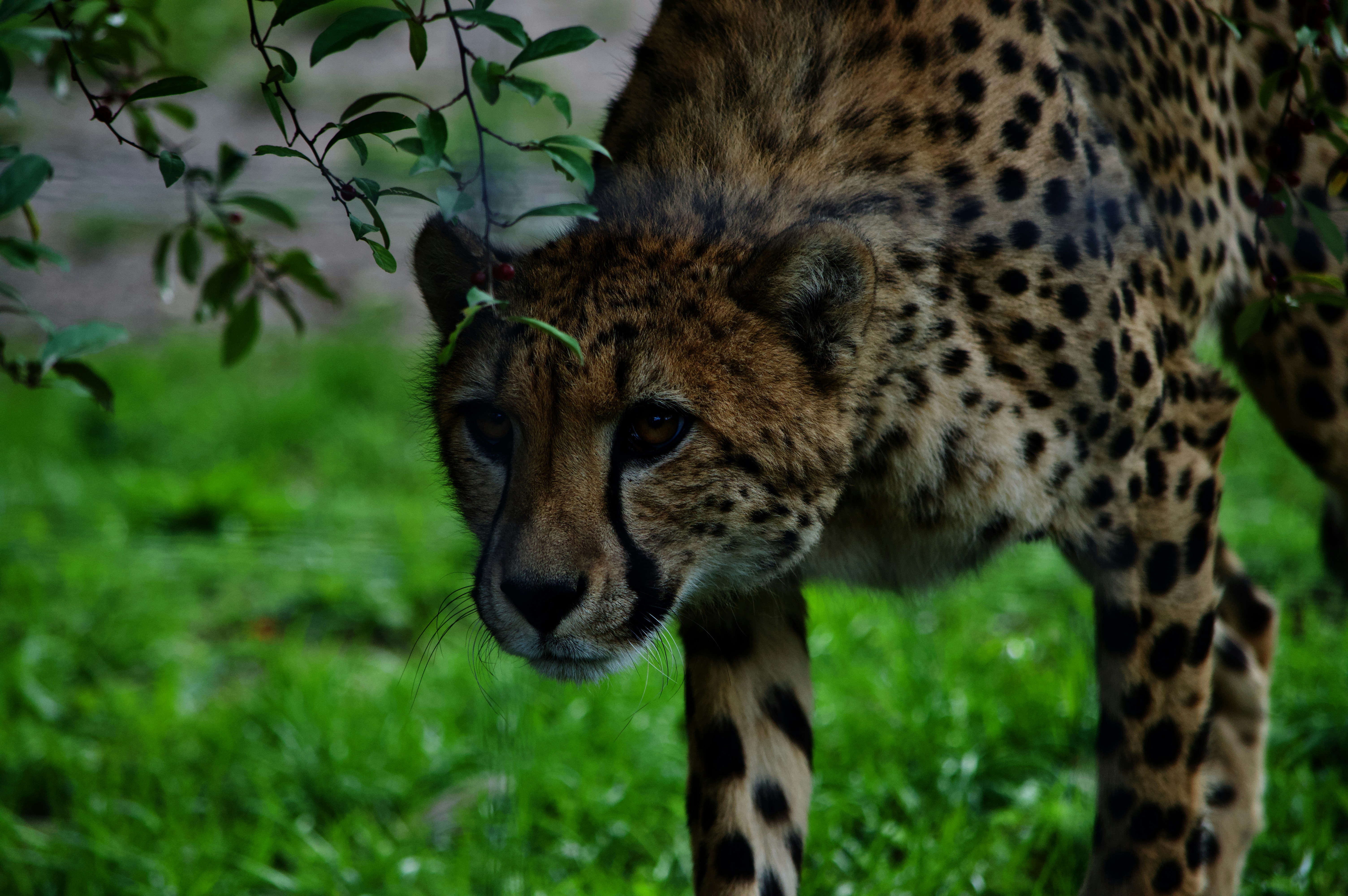 Photo by annikaashley