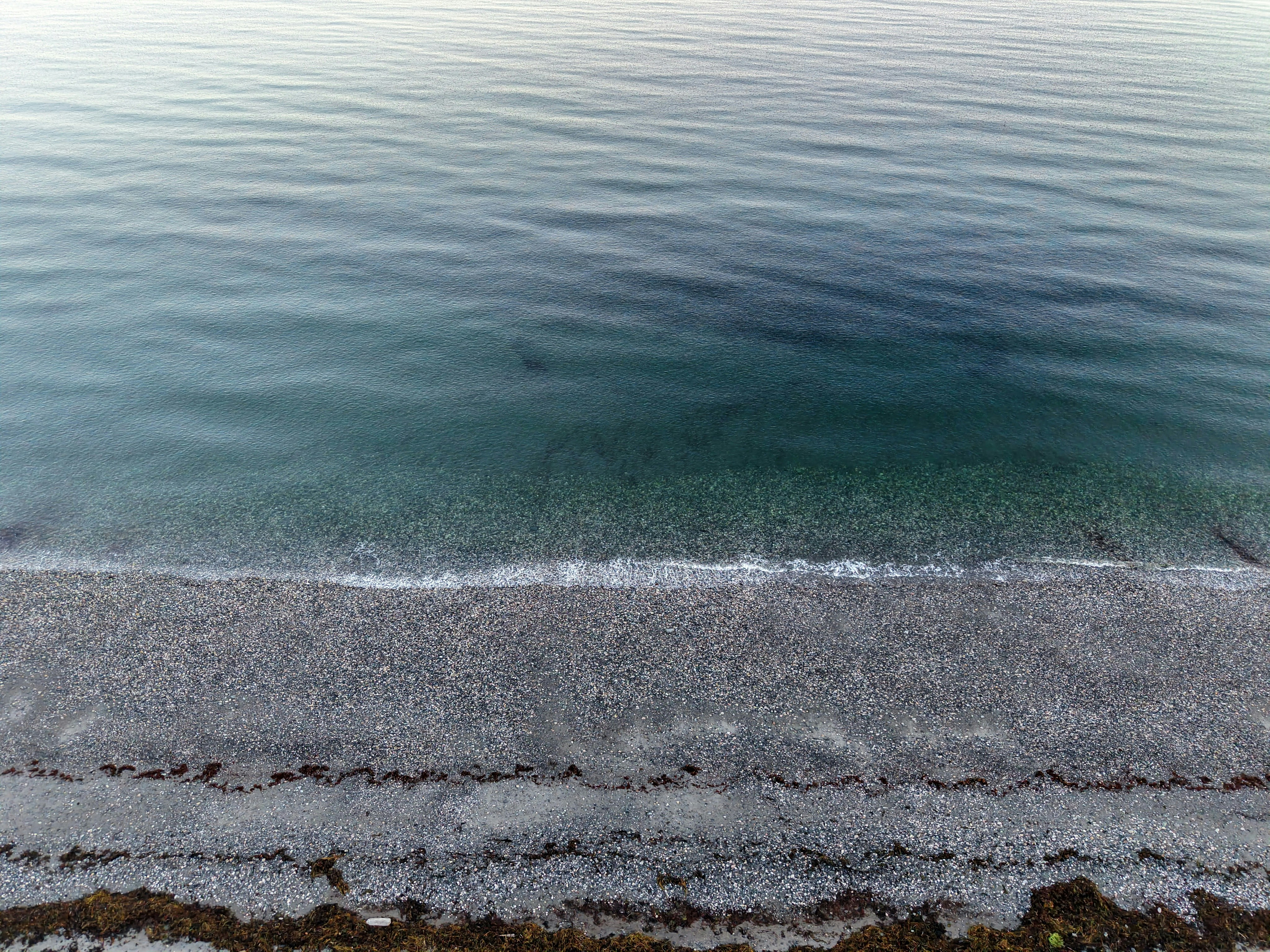 Photo by dominicmondello