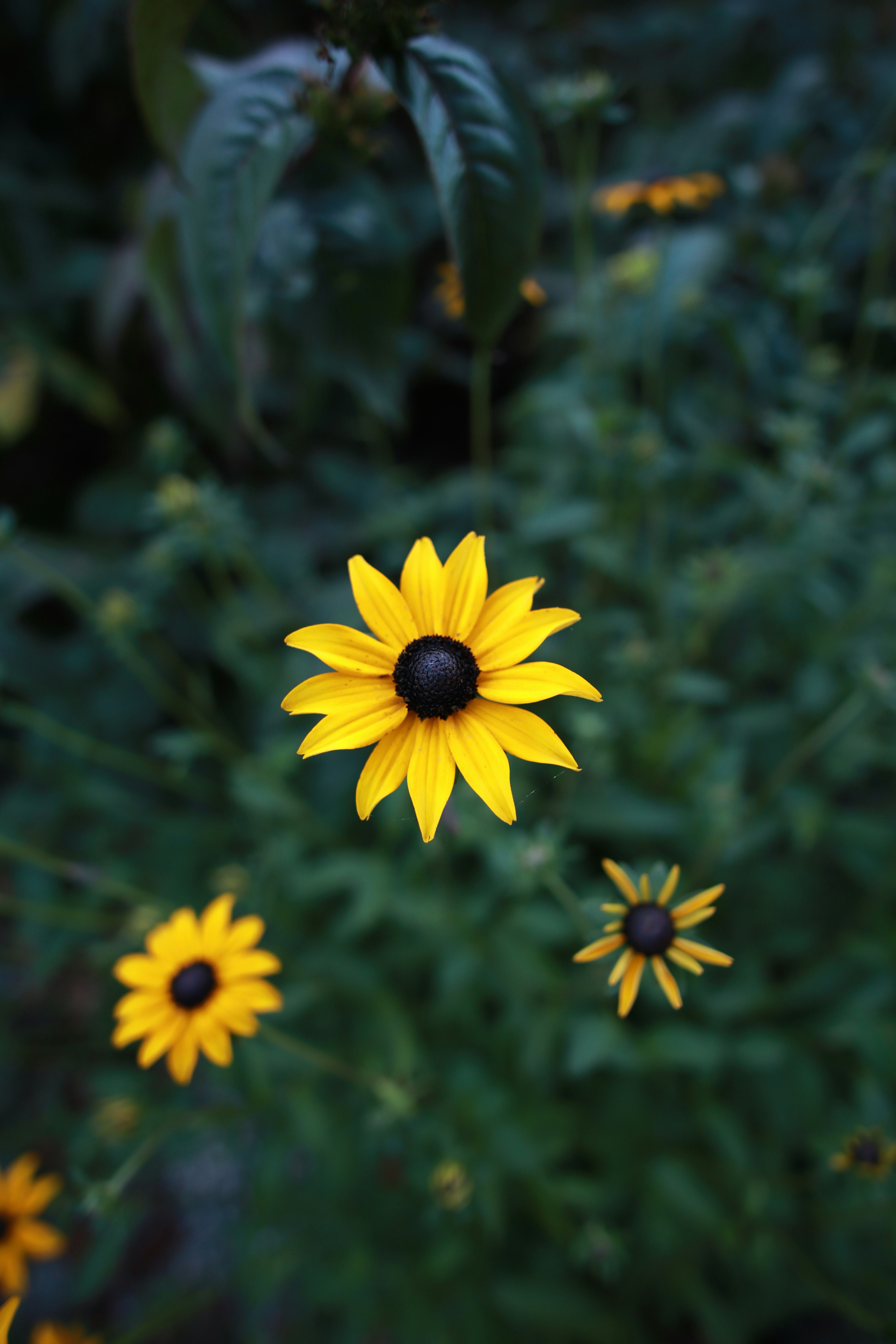 Photo by brooke_hansley_photography