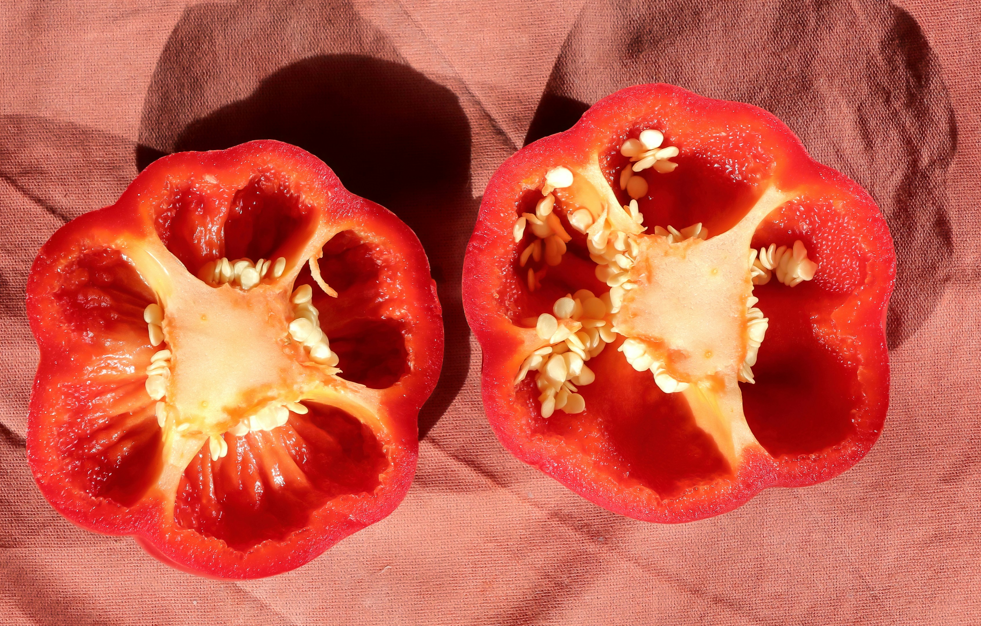 A colorful array of vegetable seeds organized in small piles, featuring varieties like carrots, radishes, and corn.