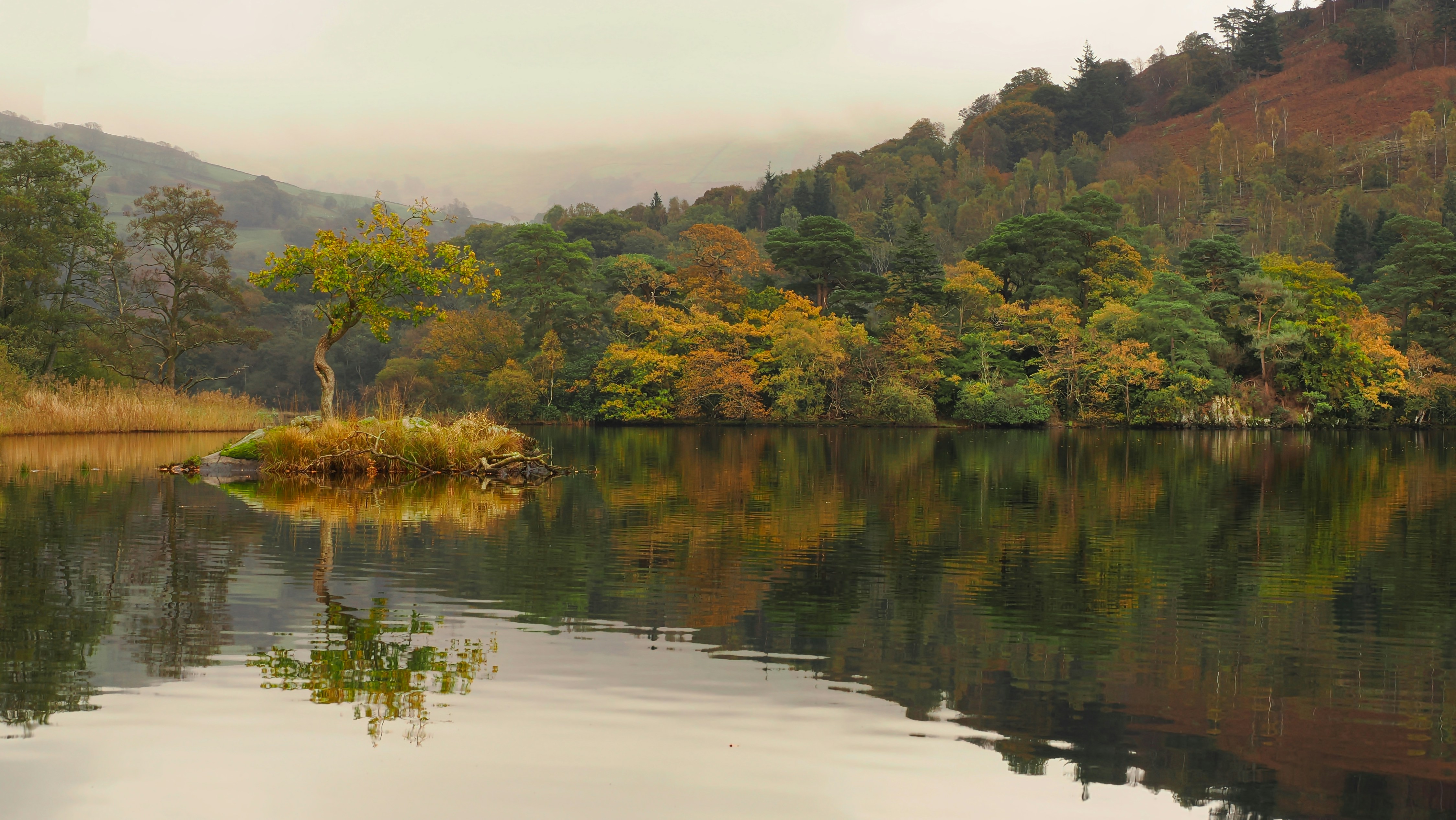 Autumn trees reflected in a calm lake