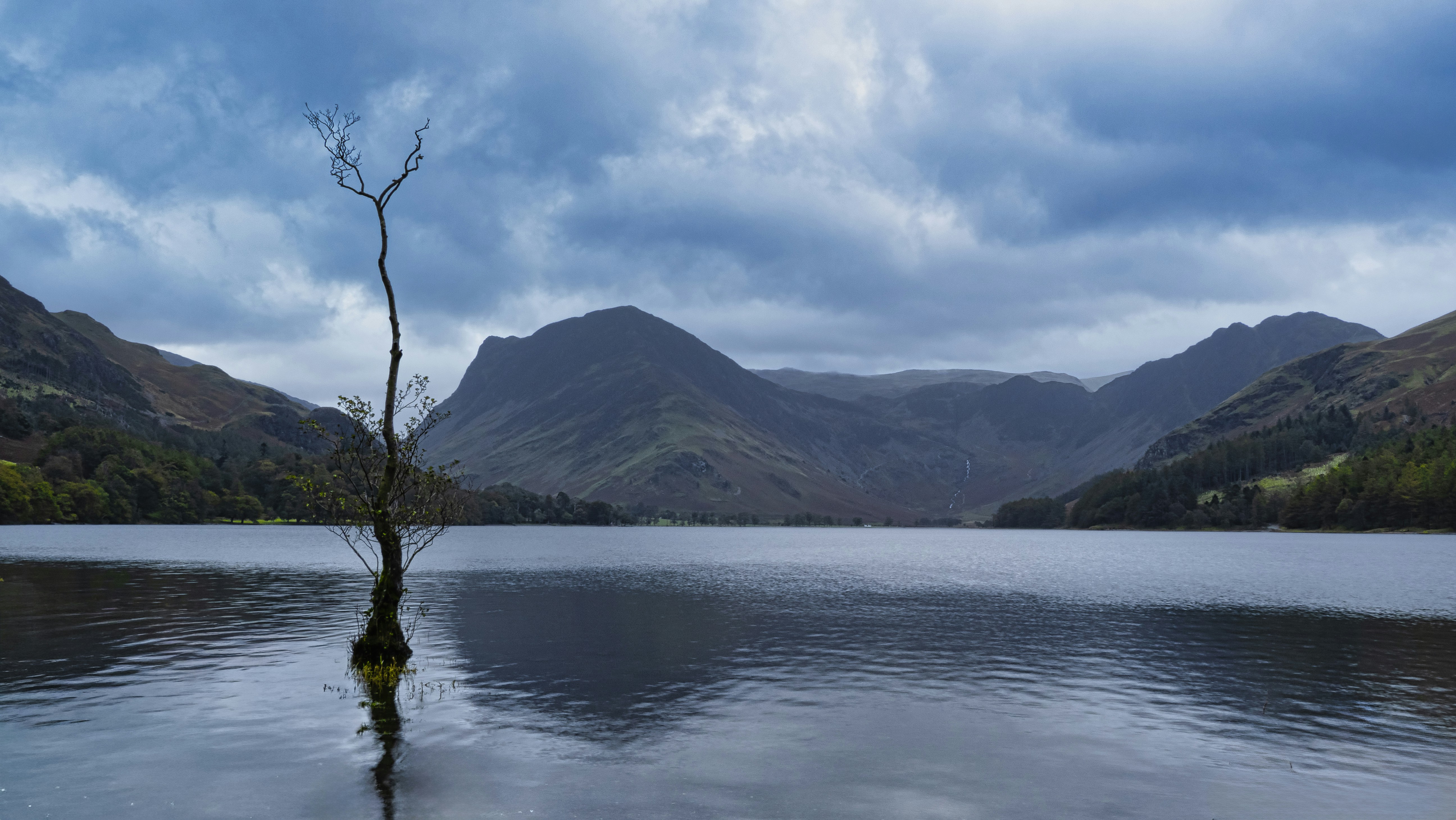 Lone tree in a lake with mountains under cloudy sky.