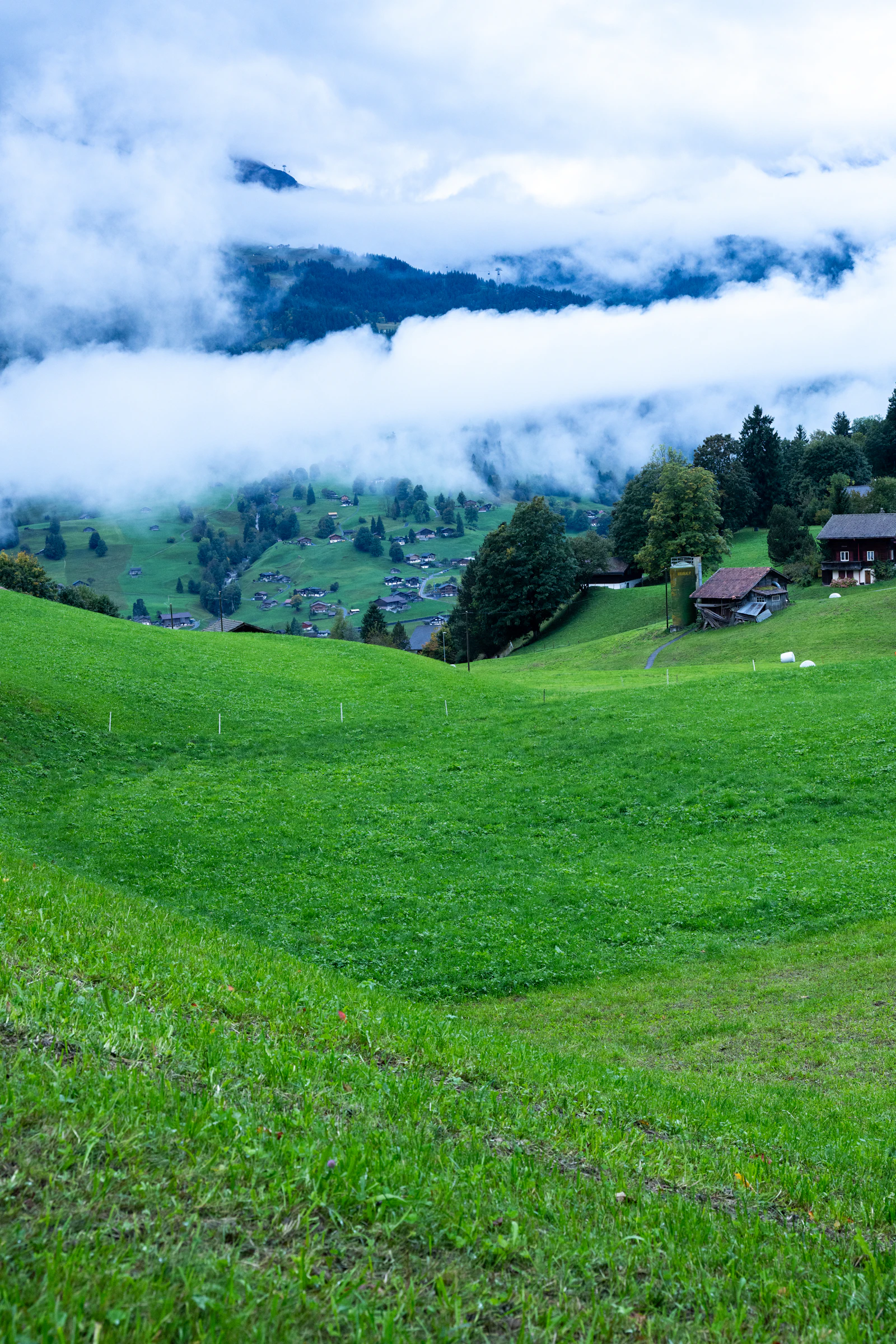 Alpages verts et chalets dispersés devant les montagnes (image d'illustration)