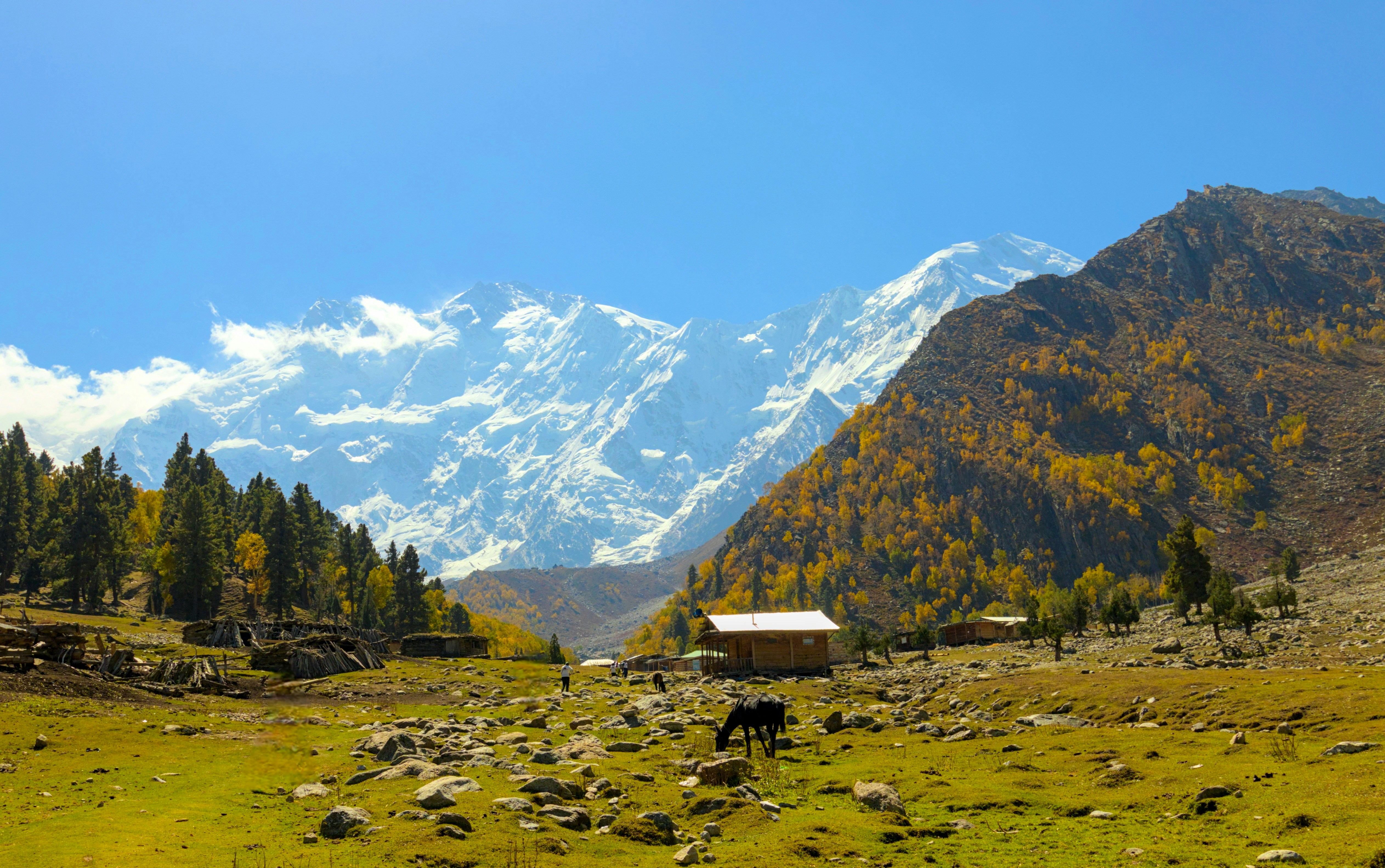 Photo by _asimrehman