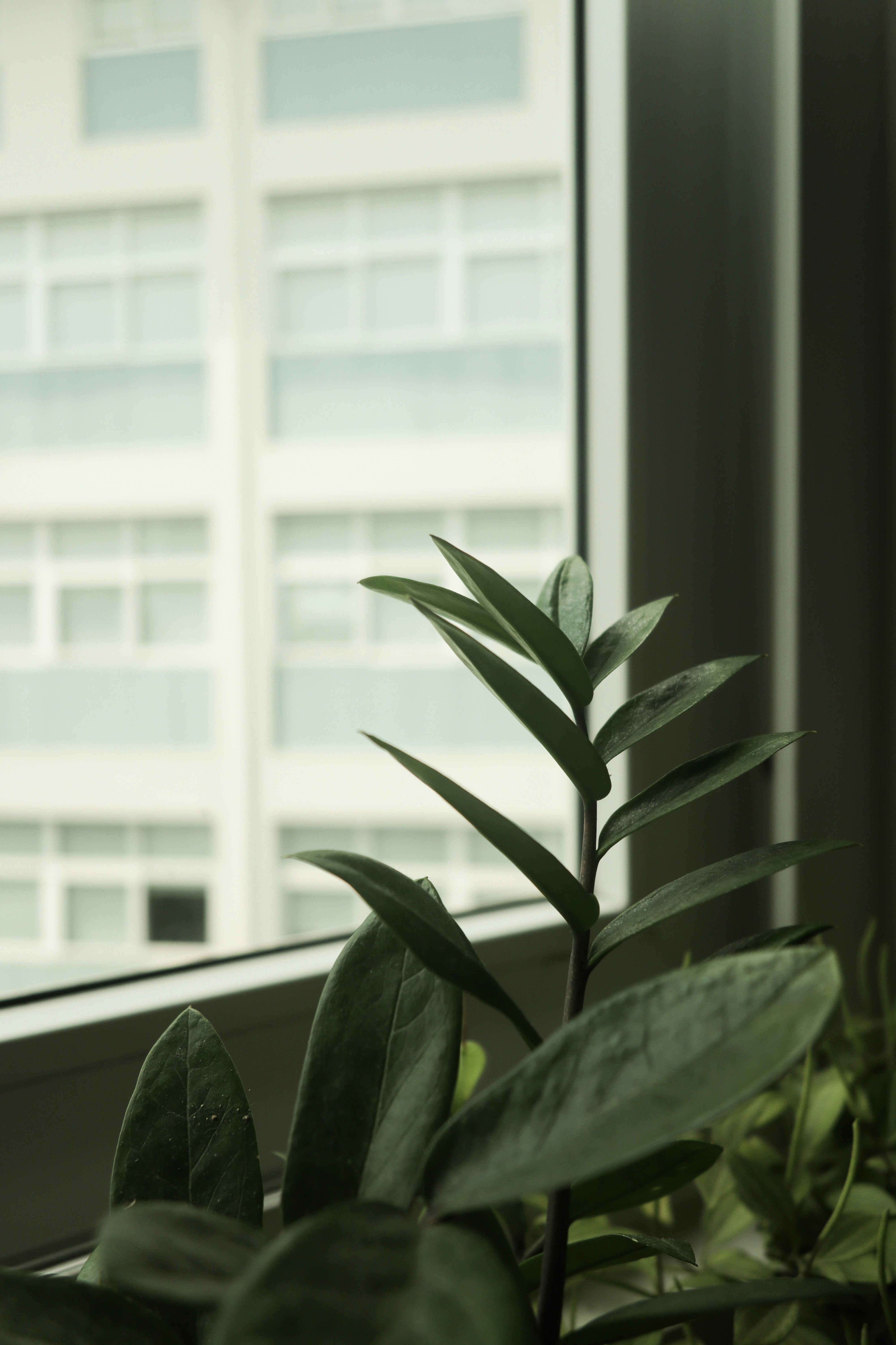 Photo by flying_dutchman_