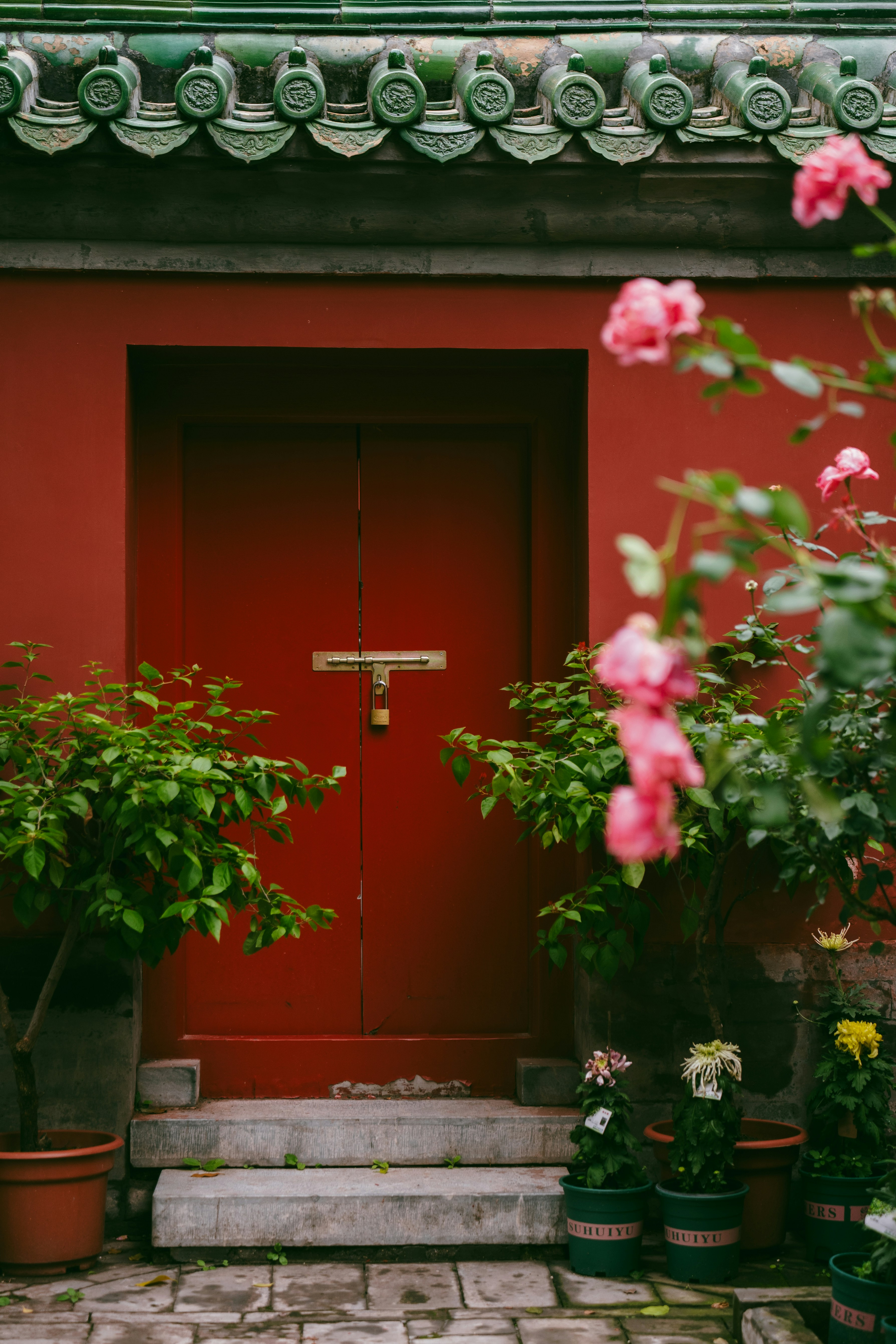 Photo by peek_a_boo_who