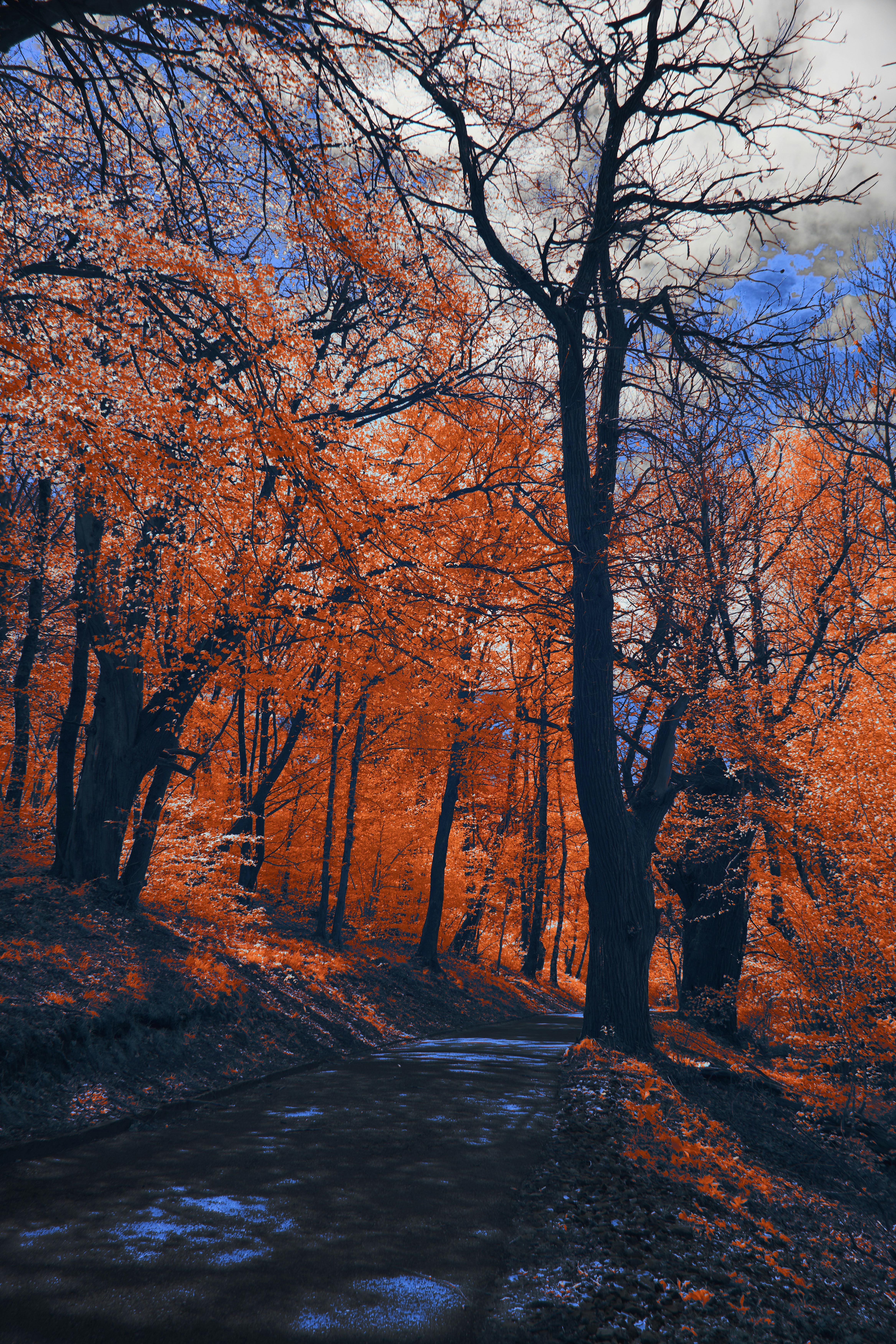 Photo by wolfgang_hasselmann