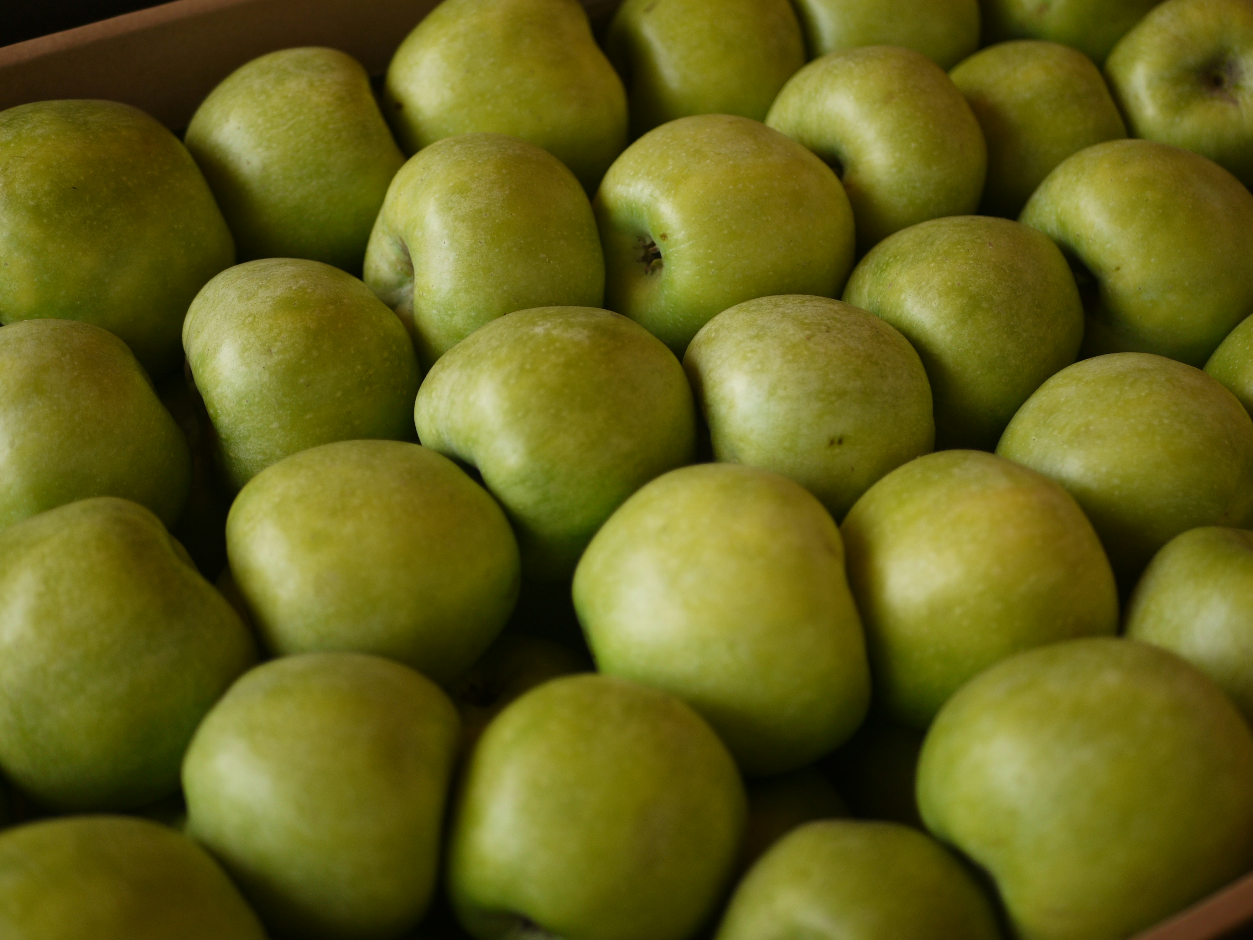 Photo by ignatkushanrev