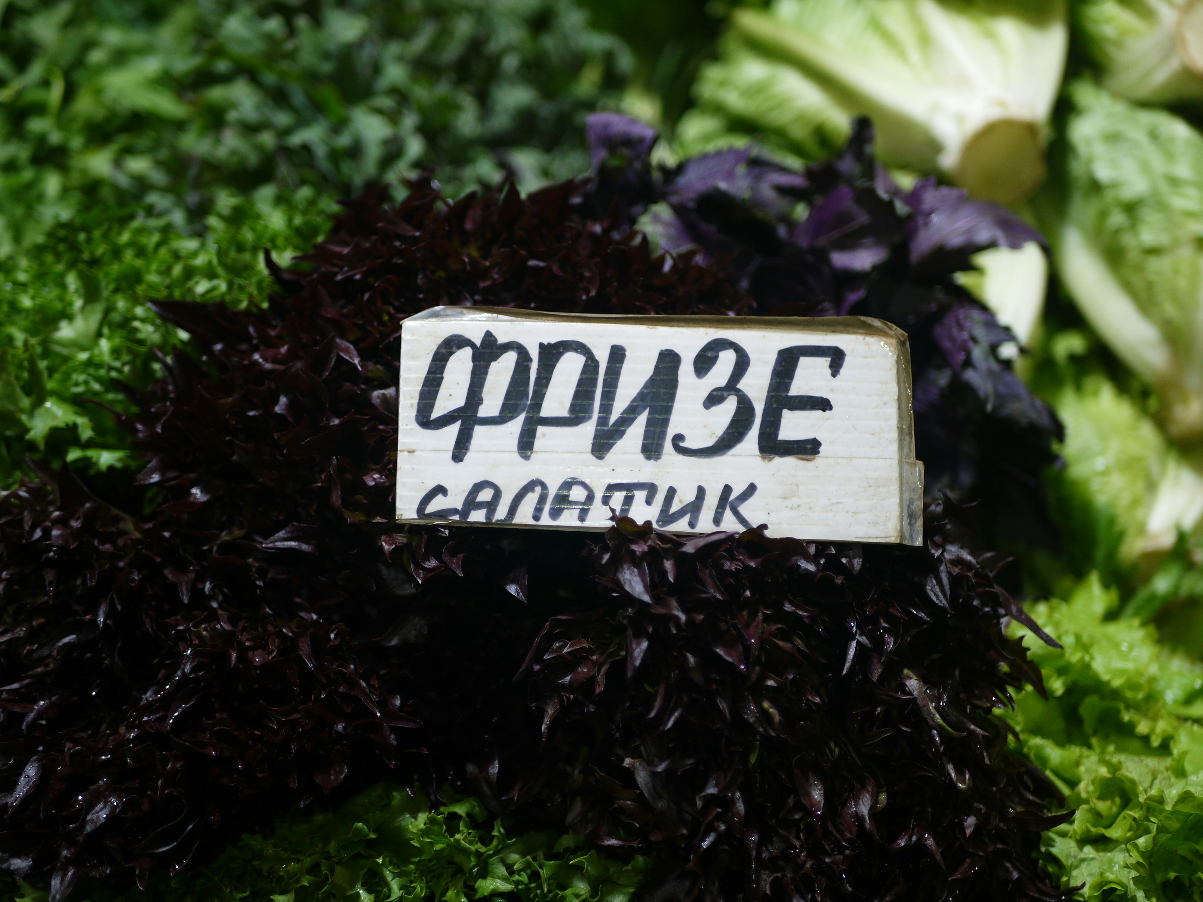 Српска Салата / Srpska Salata (Serbian Salad)