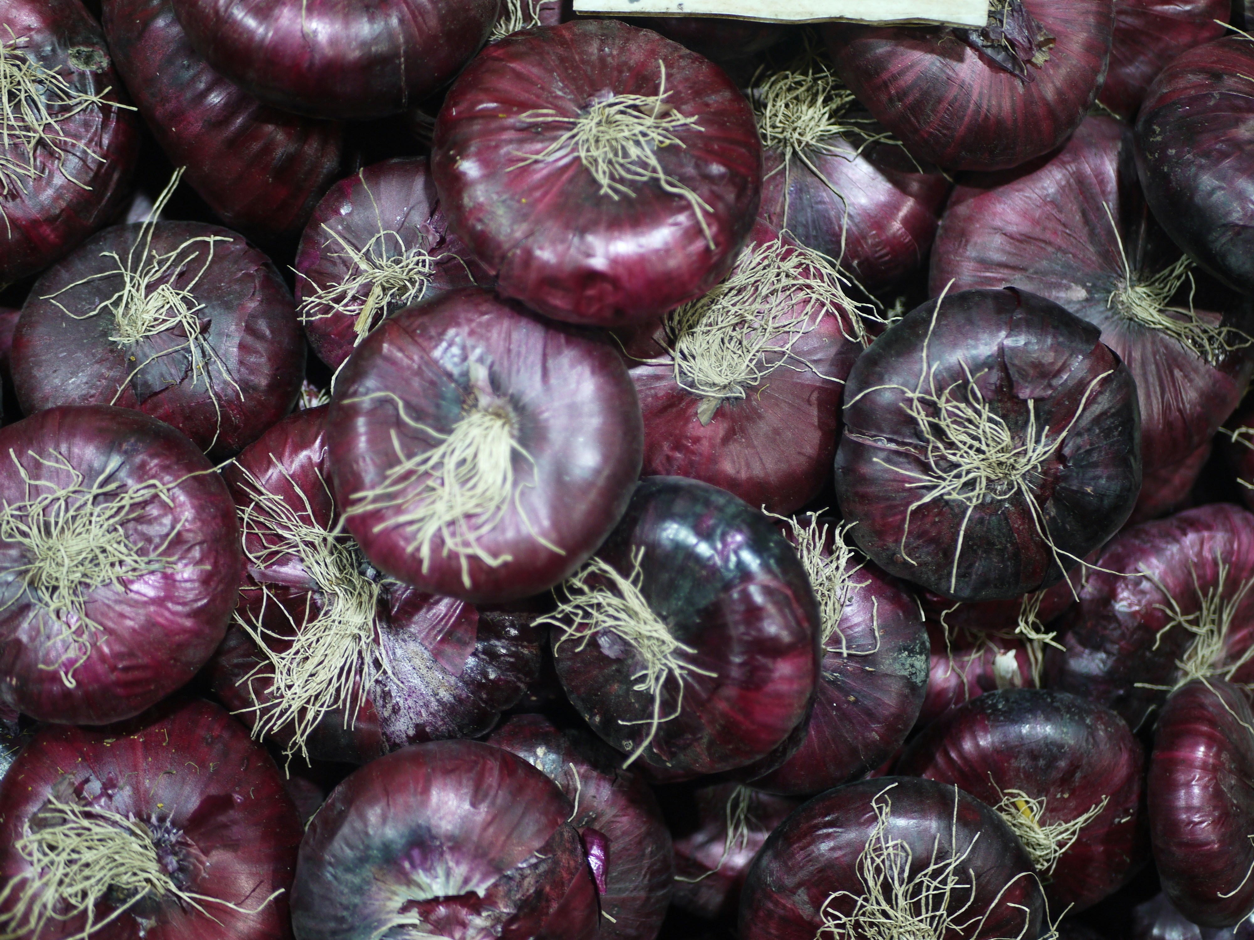 Photo by ignatkushanrev