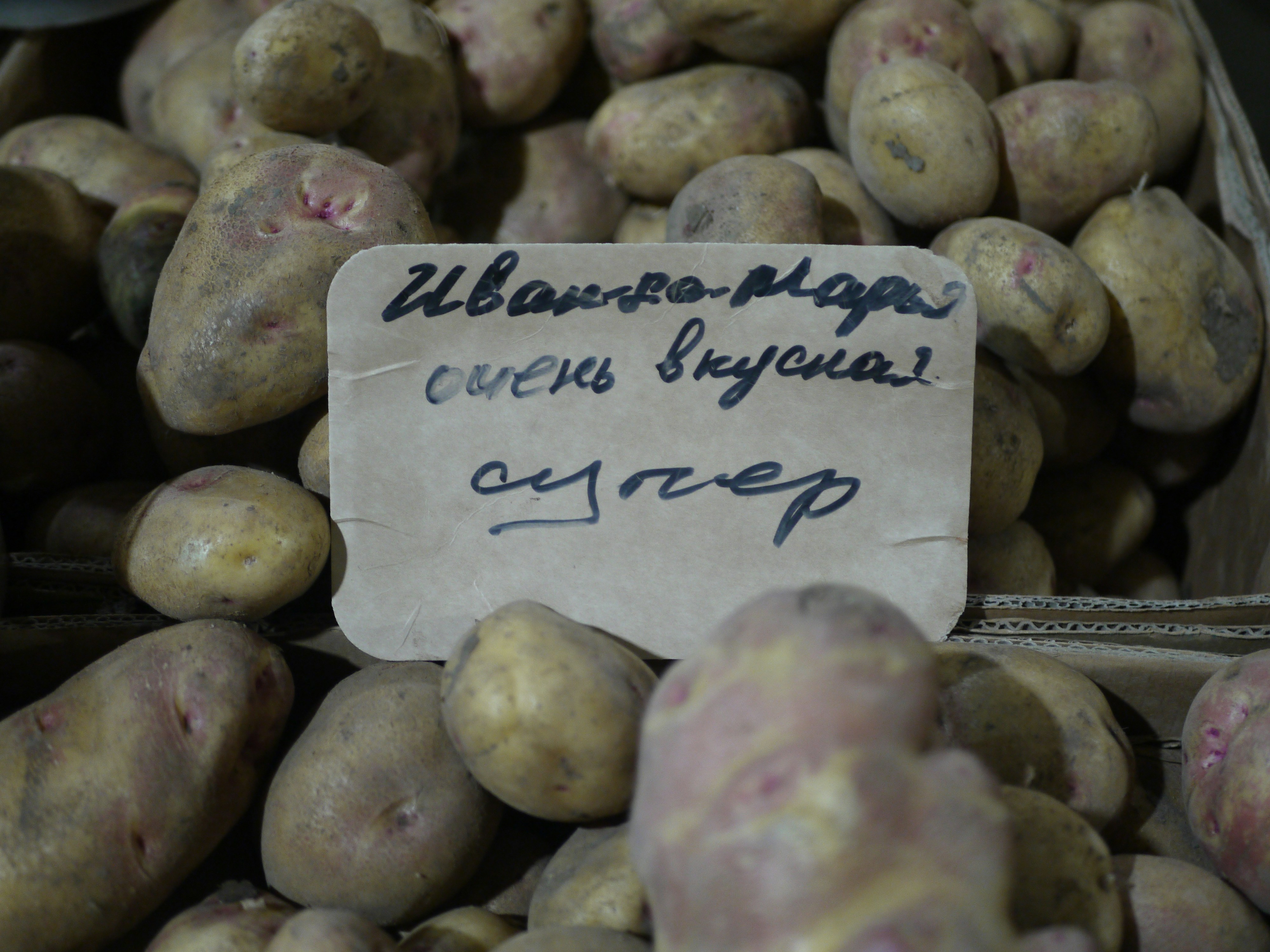 Fresh ingredients display