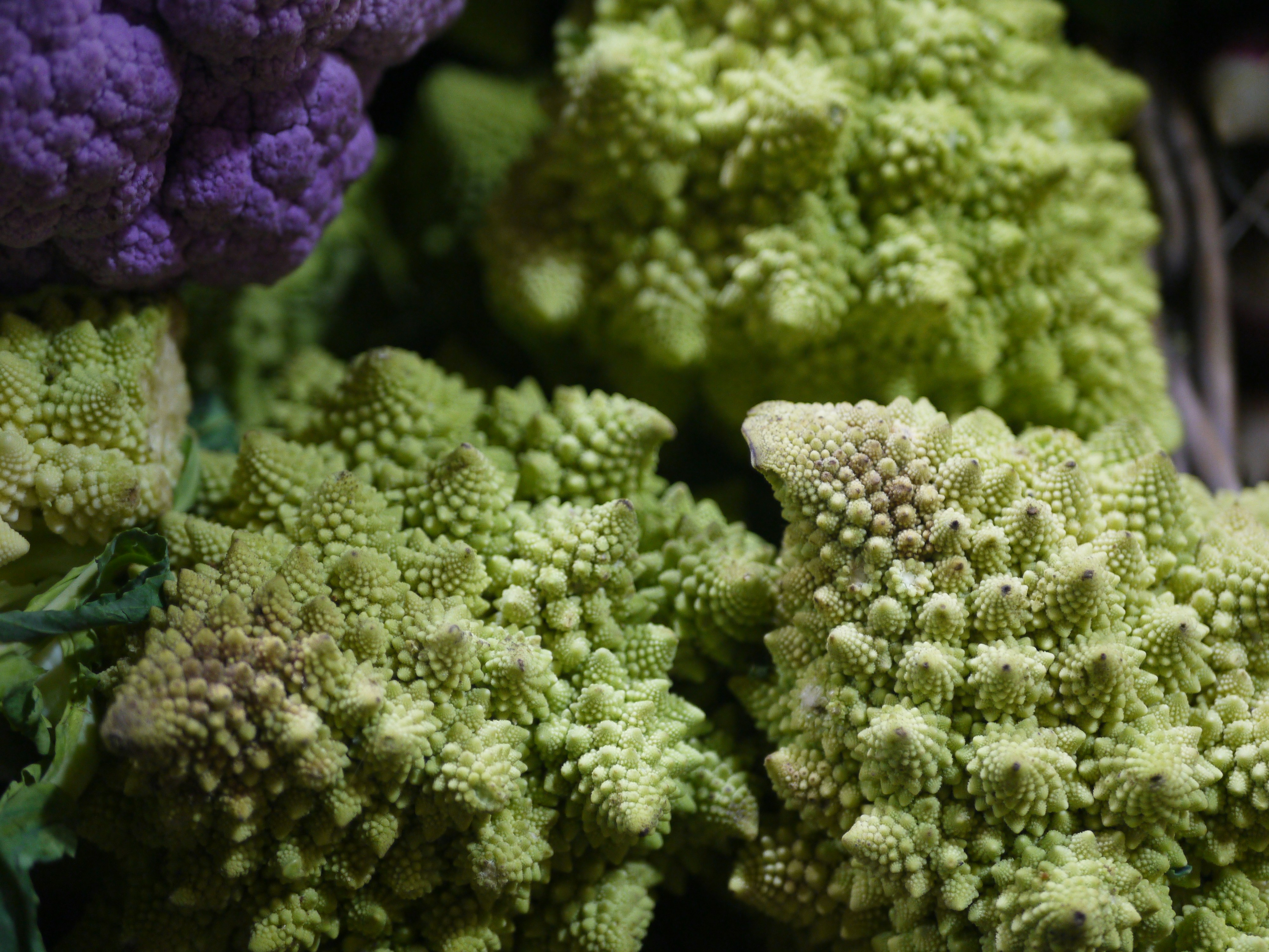 Nahaufnahme von Romanesco-Brokkoli und lila Blumenkohl.