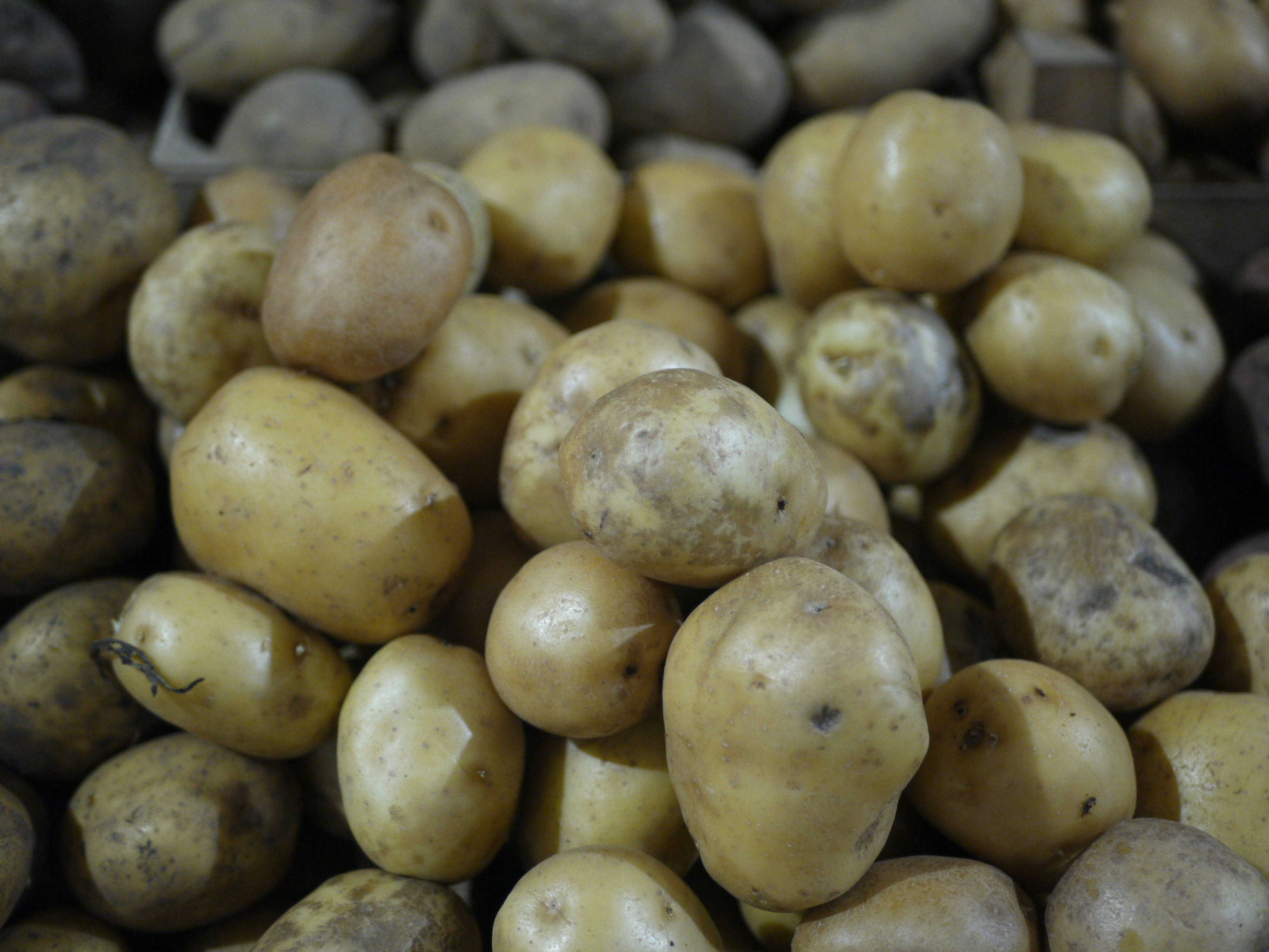 Photo by ignatkushanrev