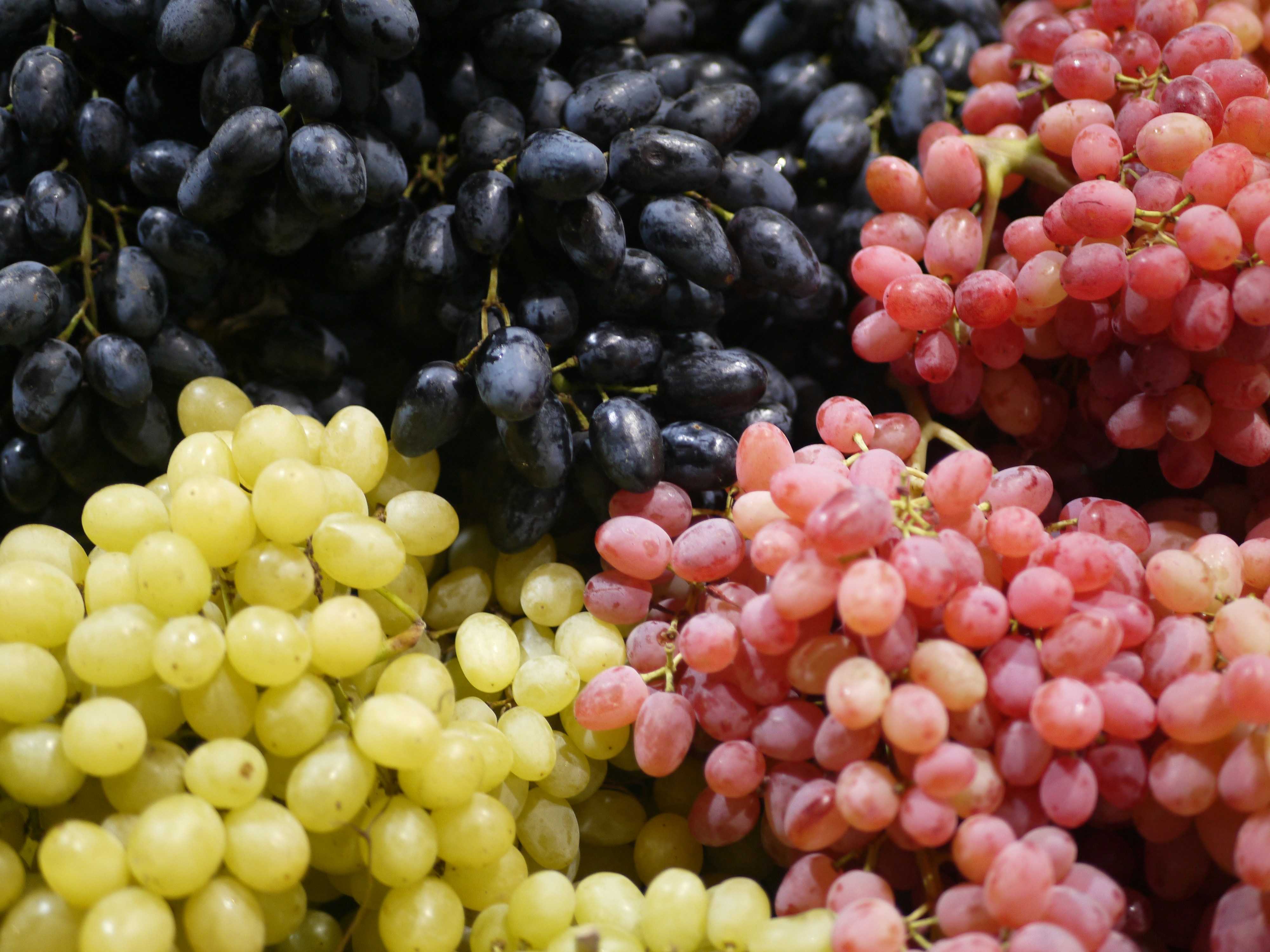 Photo by ignatkushanrev