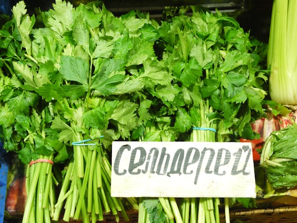 Bunches of fresh celery with a sign