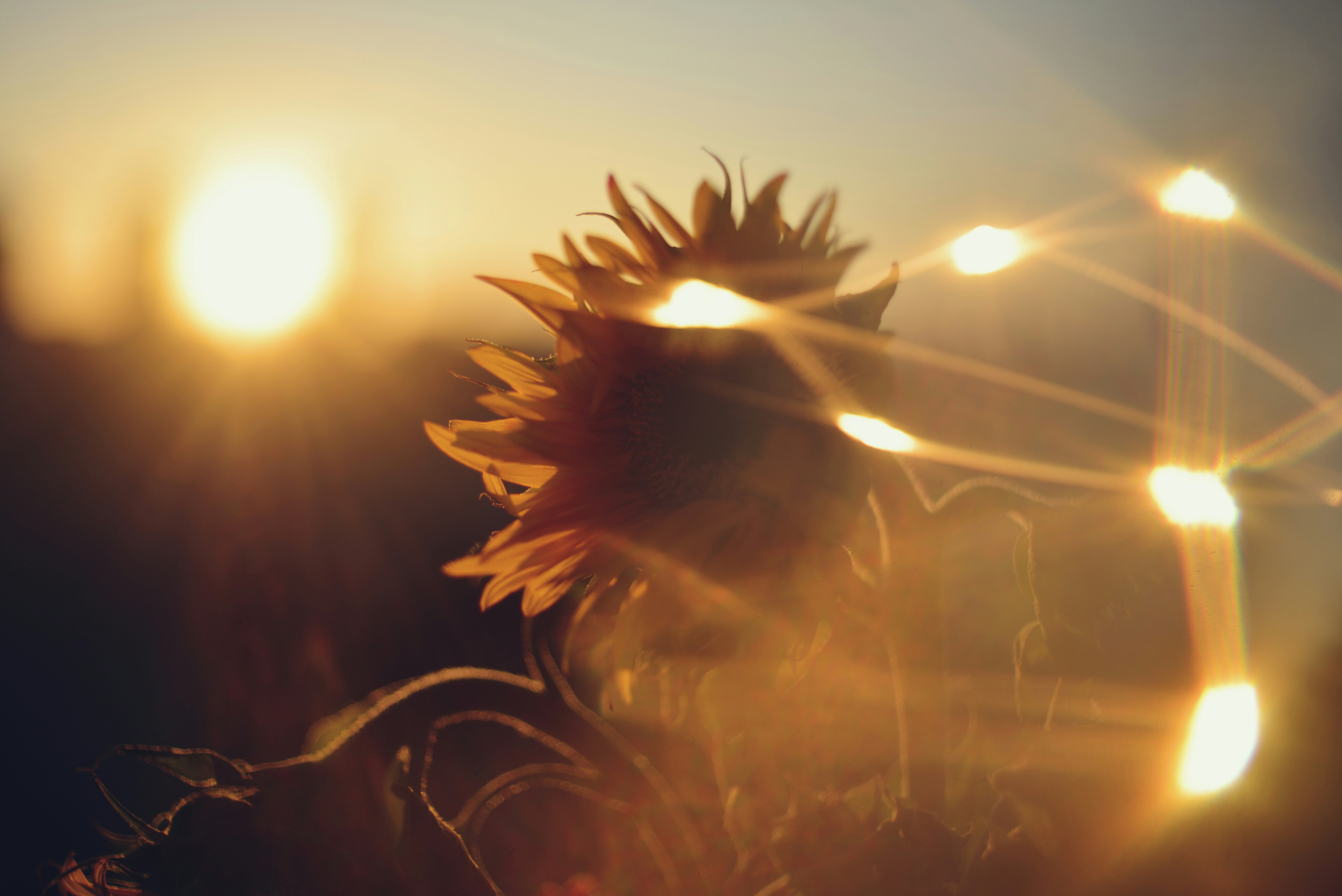 Photo by cherstve_pechivo