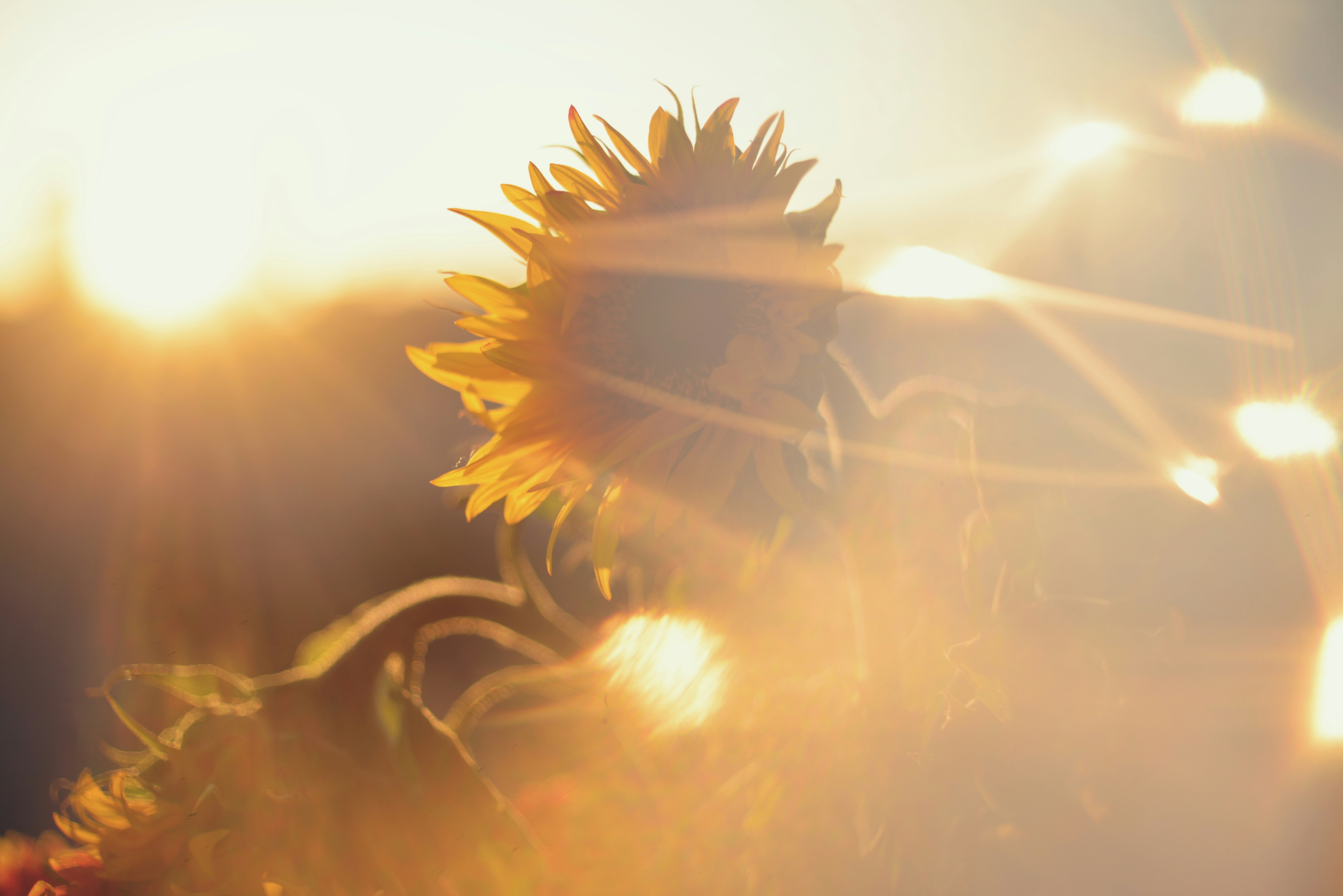 Photo by cherstve_pechivo