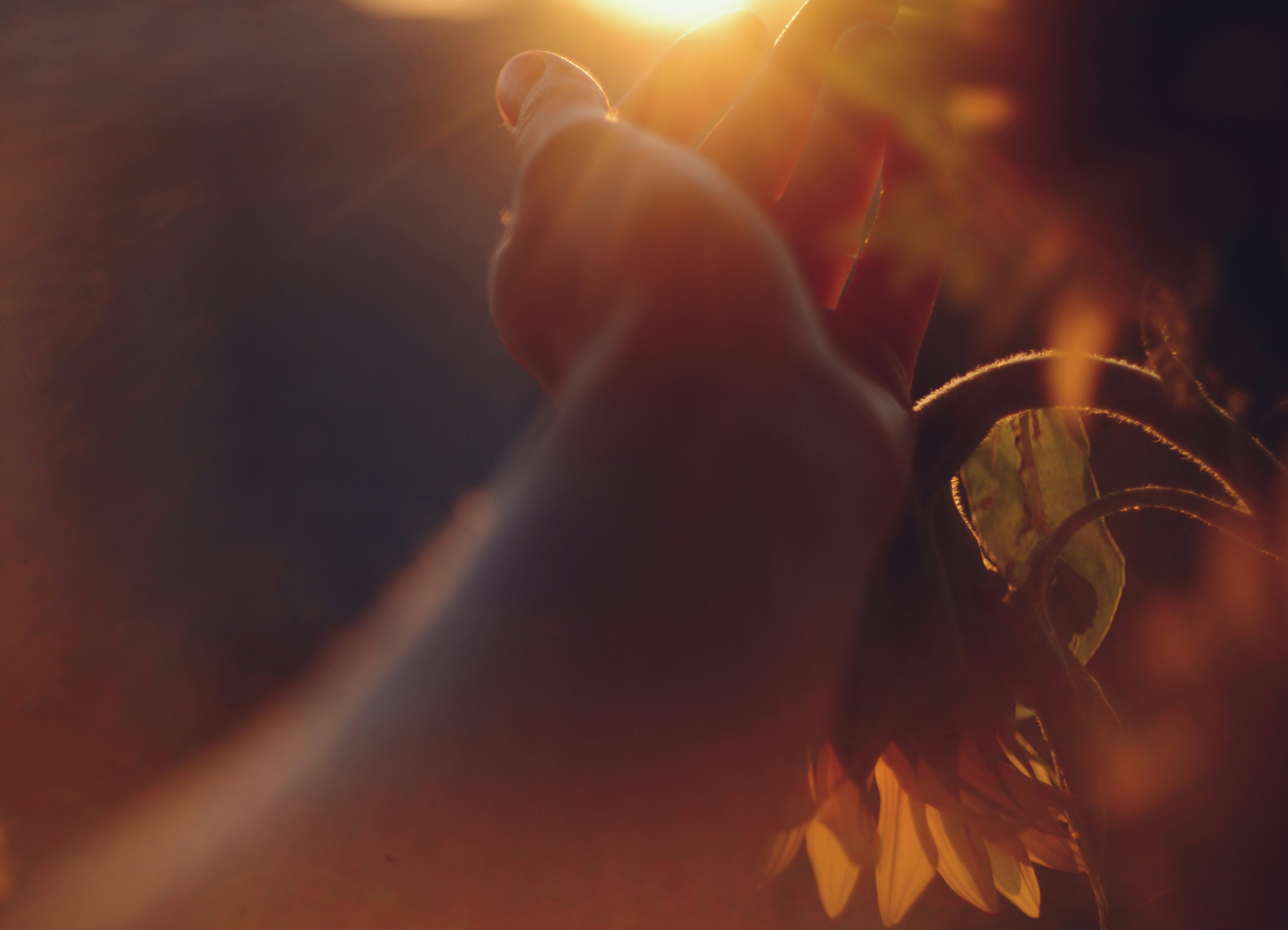 Photo by cherstve_pechivo