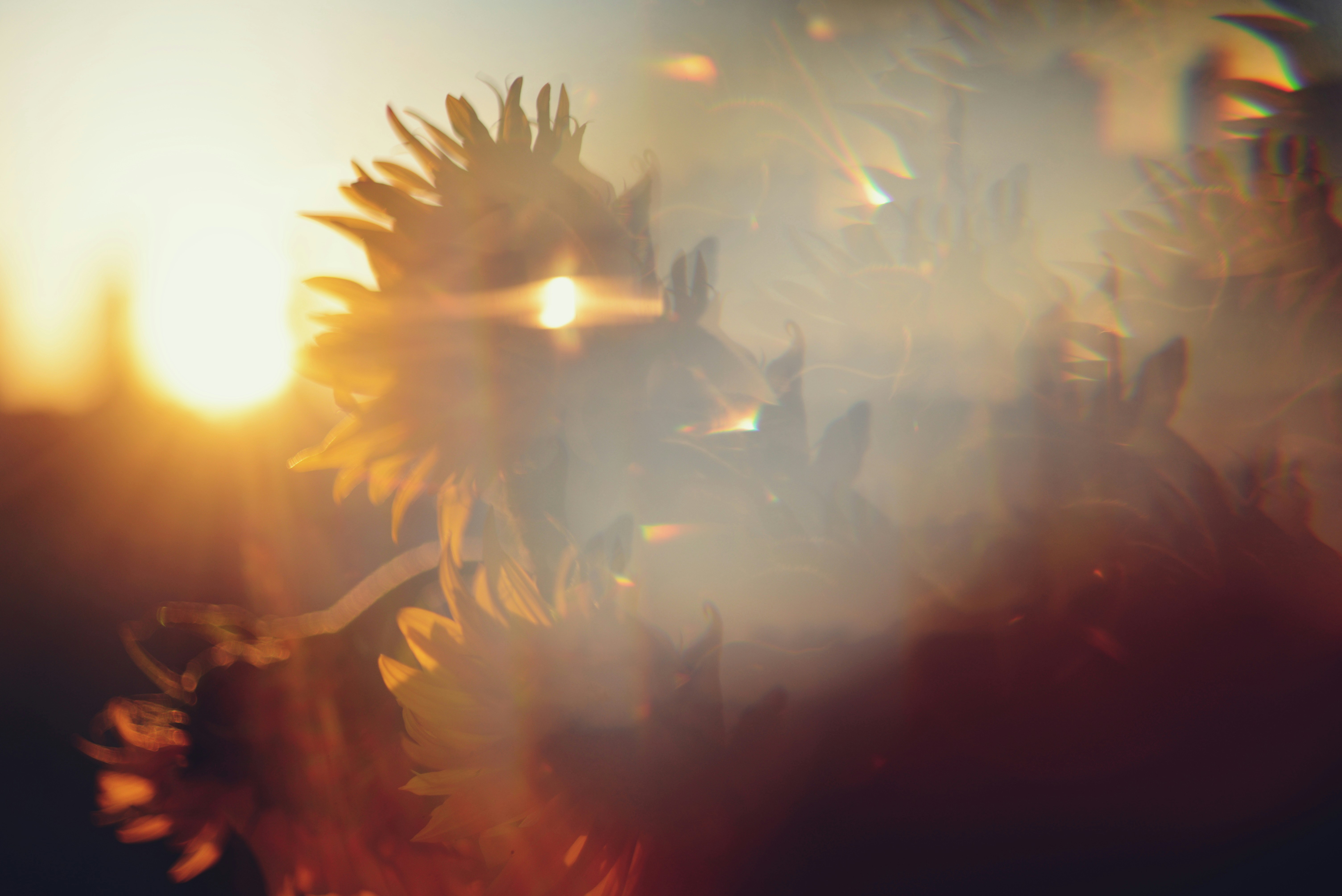 Photo by cherstve_pechivo