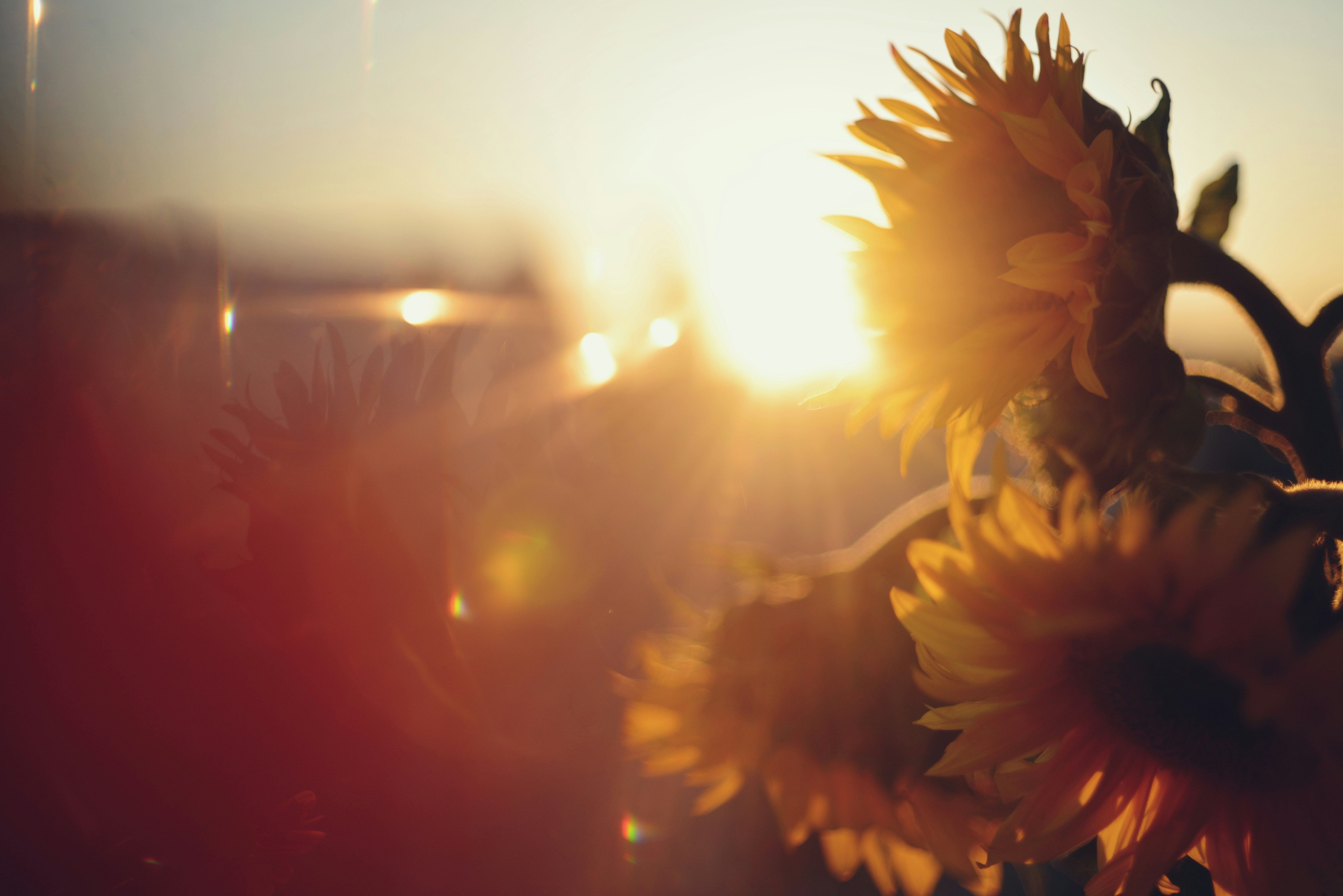 Photo by cherstve_pechivo