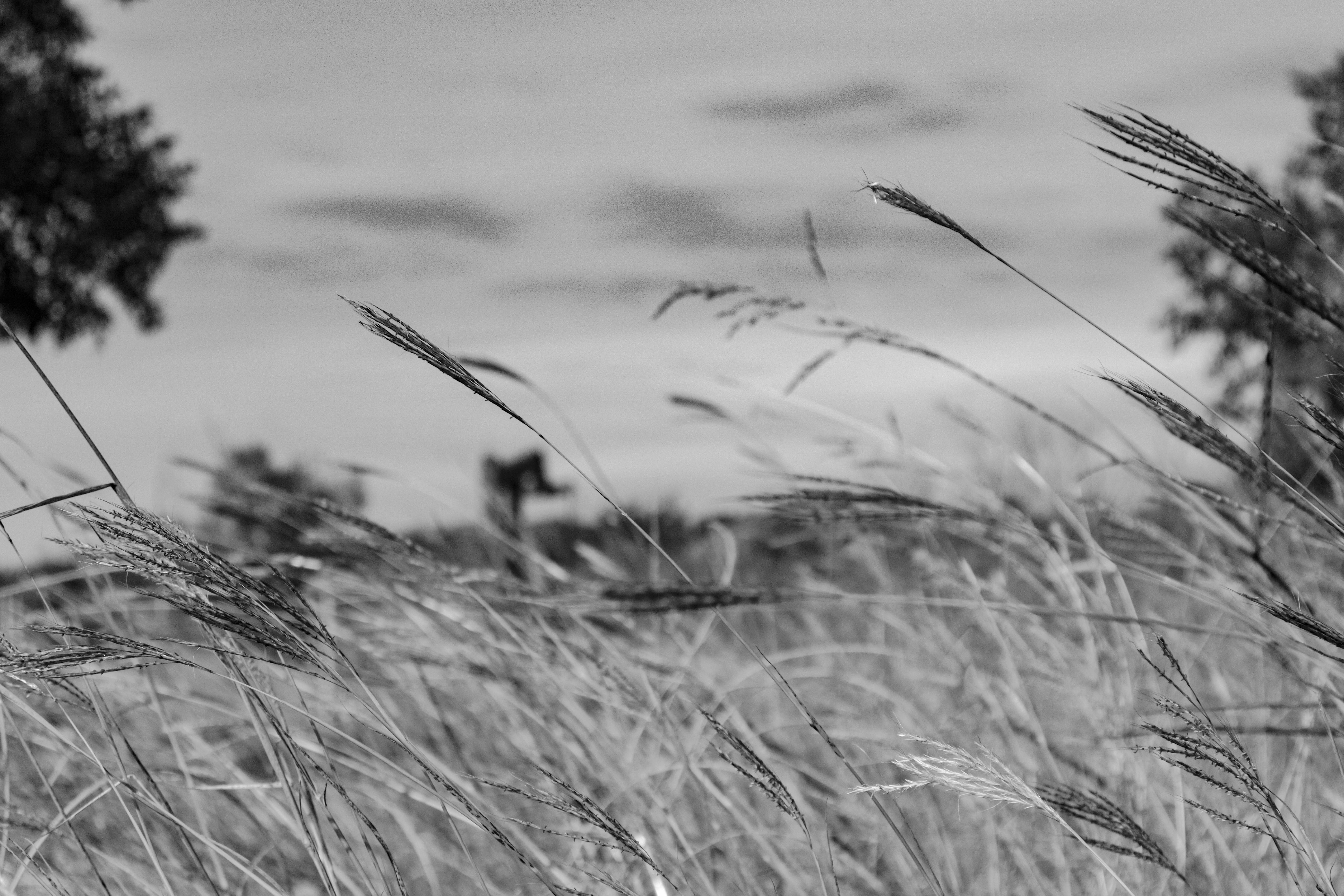 Photo by nextgenpics