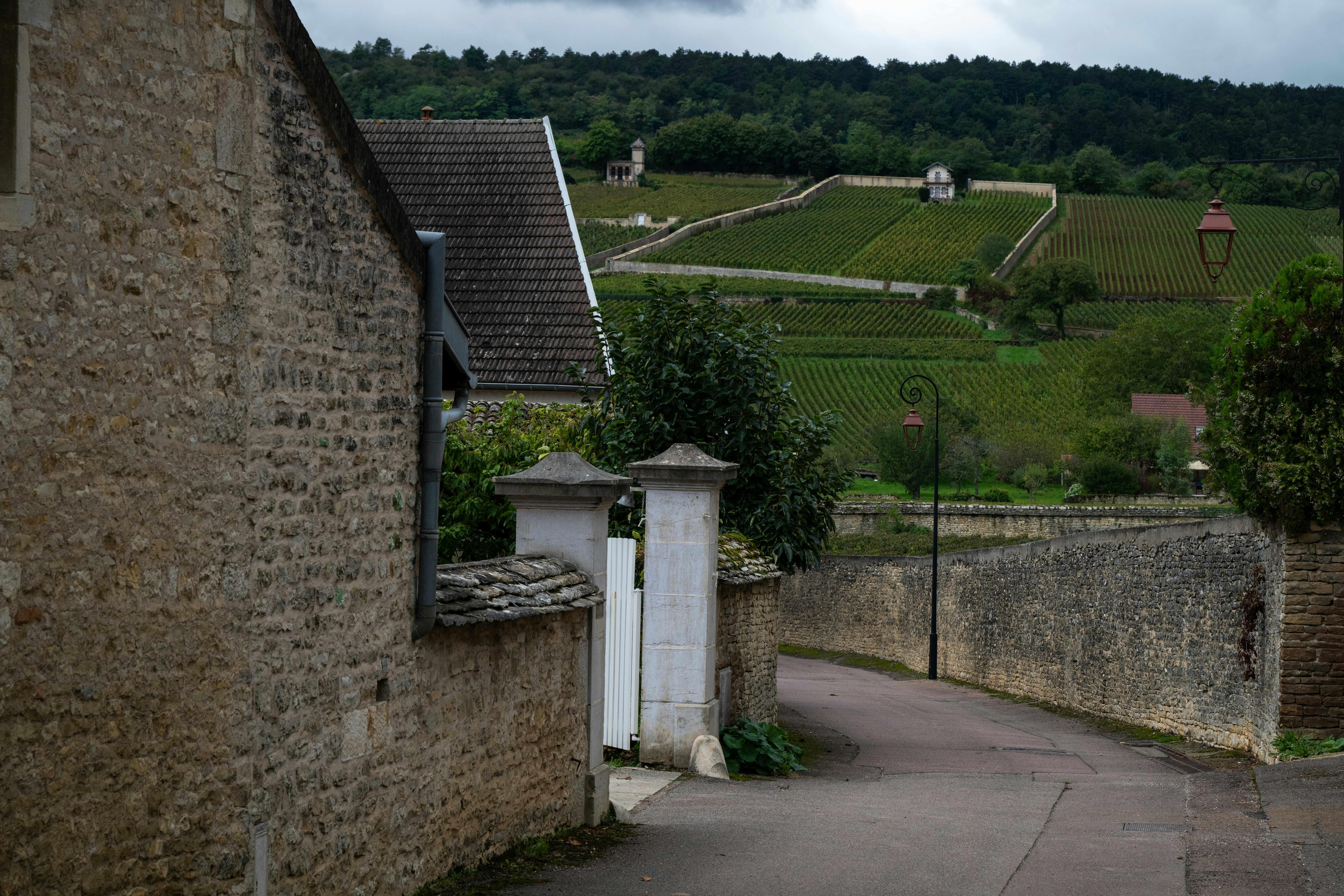Stone wall leads to vineyard-covered hills
