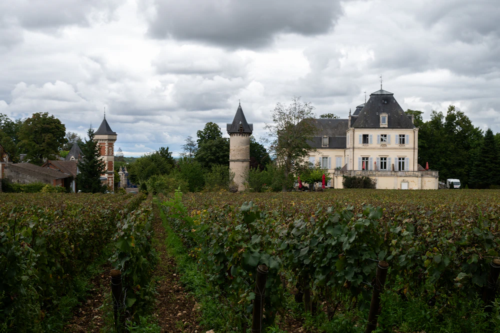 Language stay in Bordeaux, France