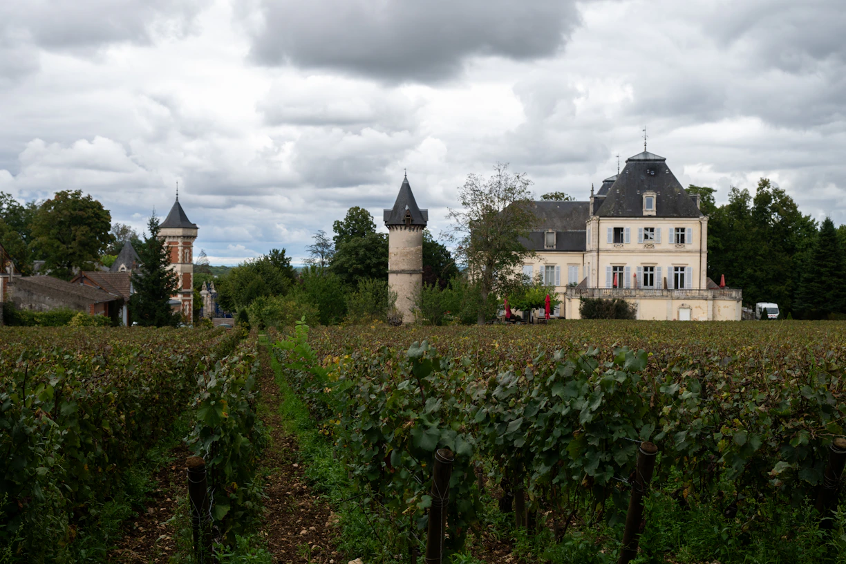 Vineyard in front of a chateau with towers