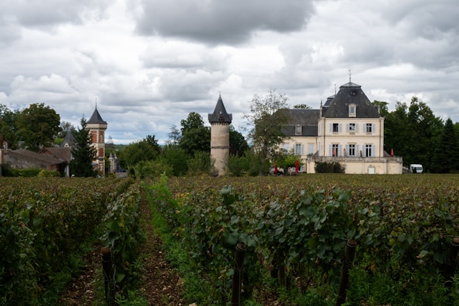 French working vineyard estate with manor tower