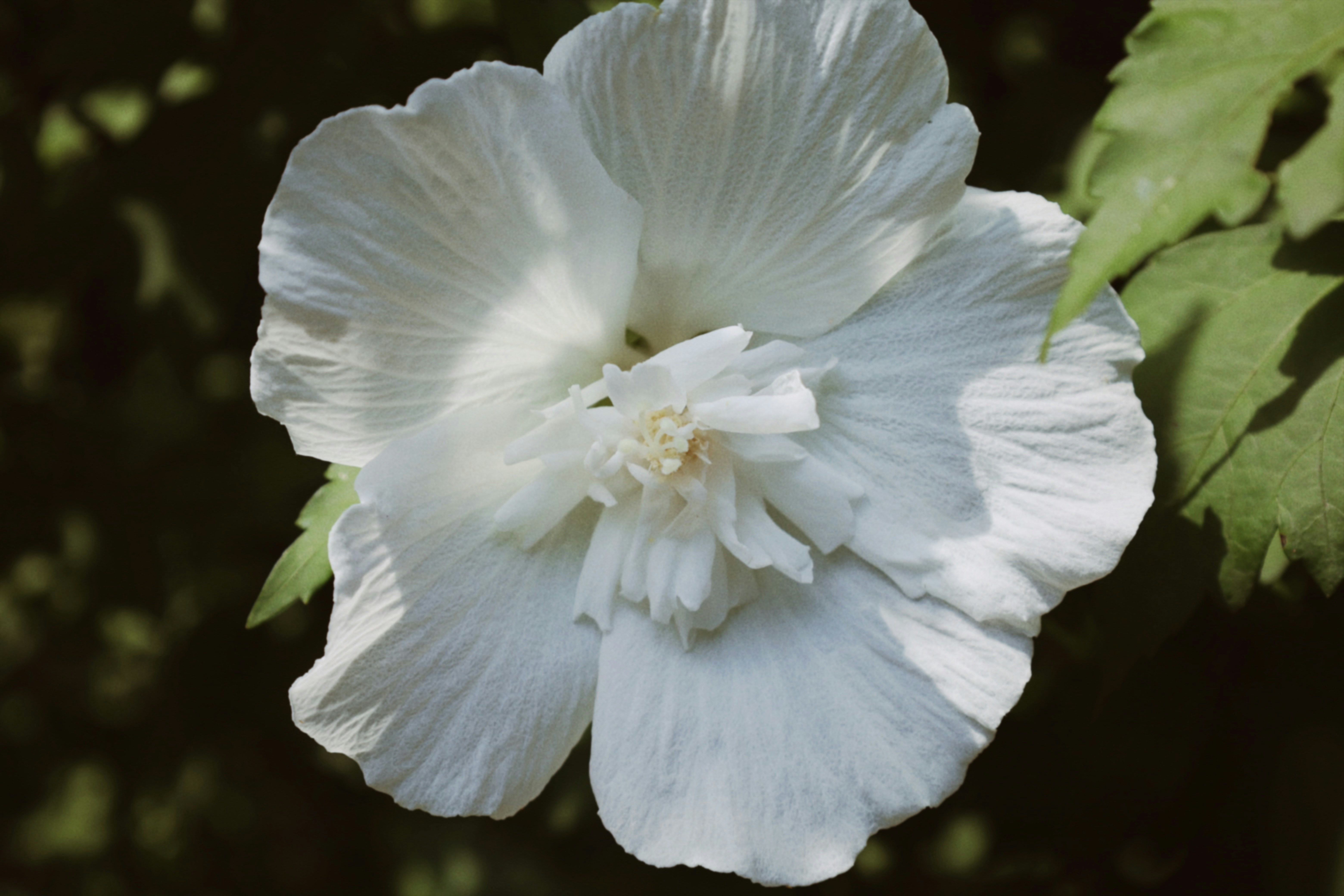 Photo by ananoelleeeee