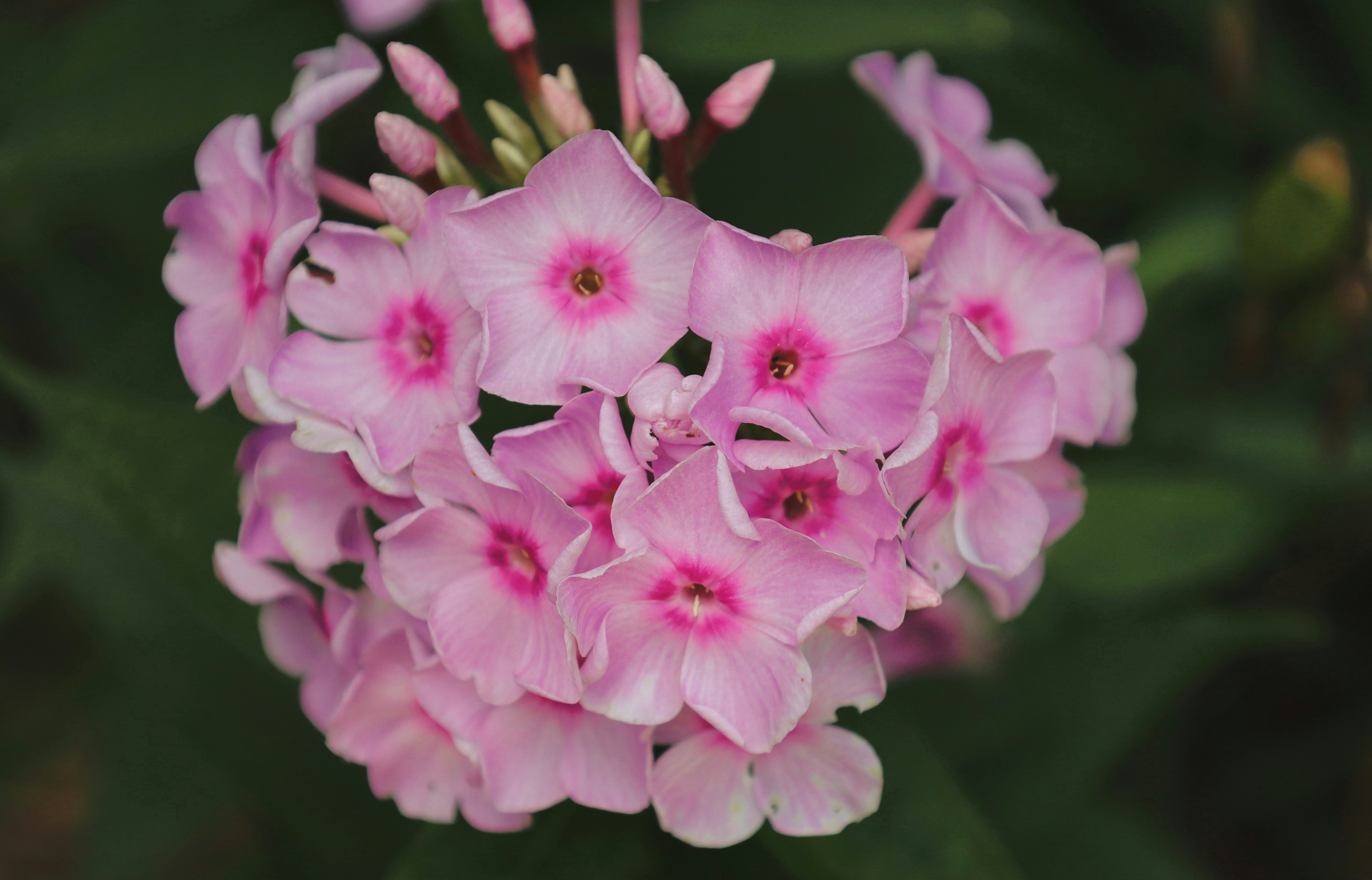 Photo by ananoelleeeee