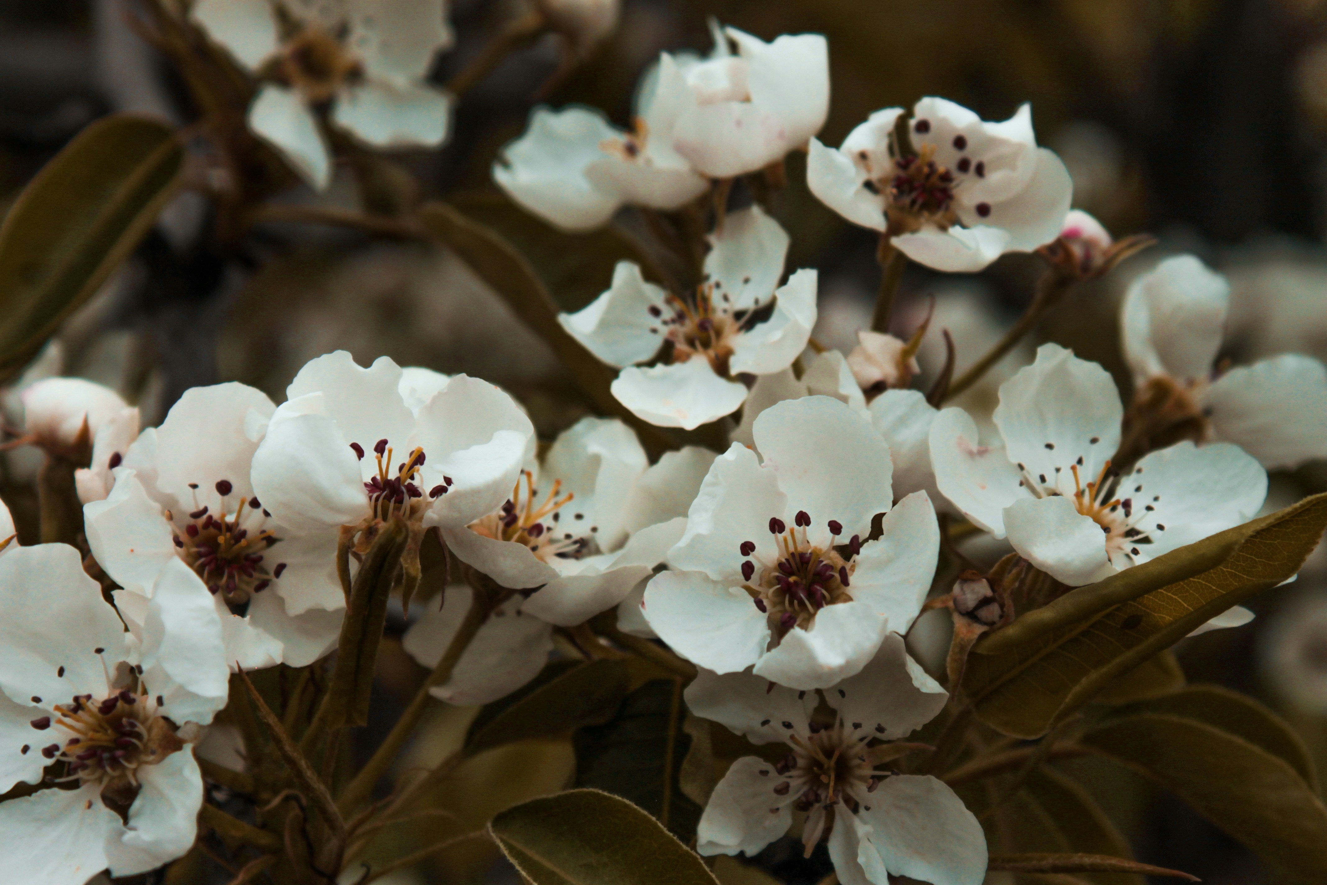 Photo by vvehkalahti