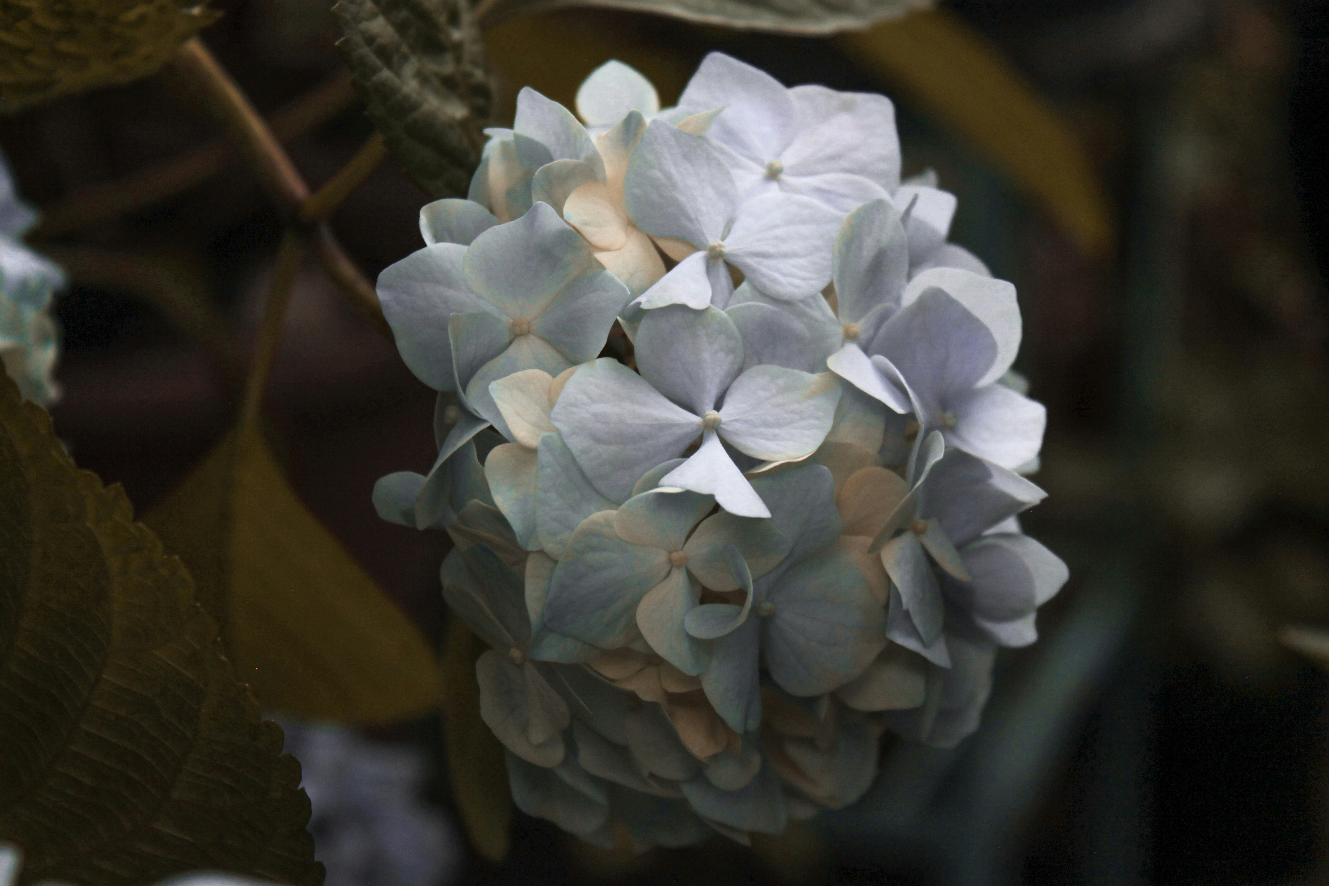 Photo by vvehkalahti