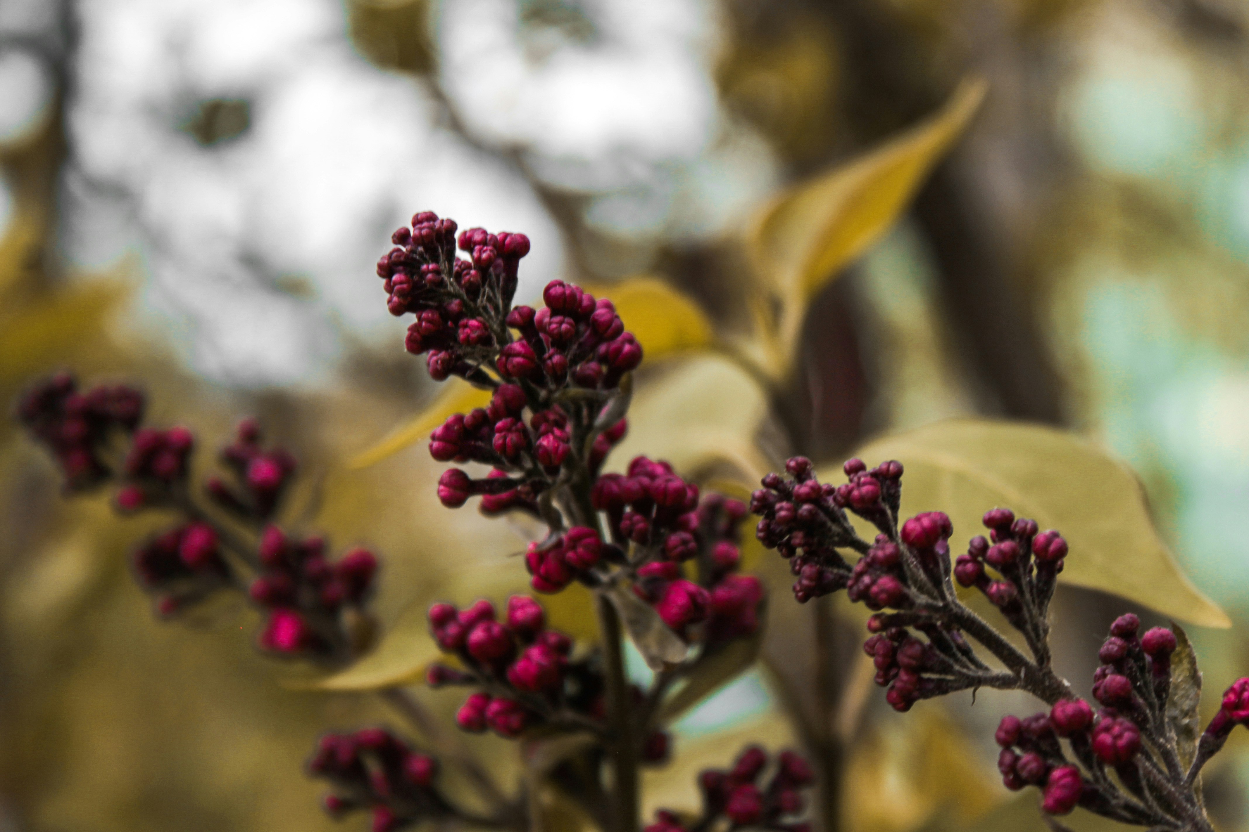 Photo by vvehkalahti