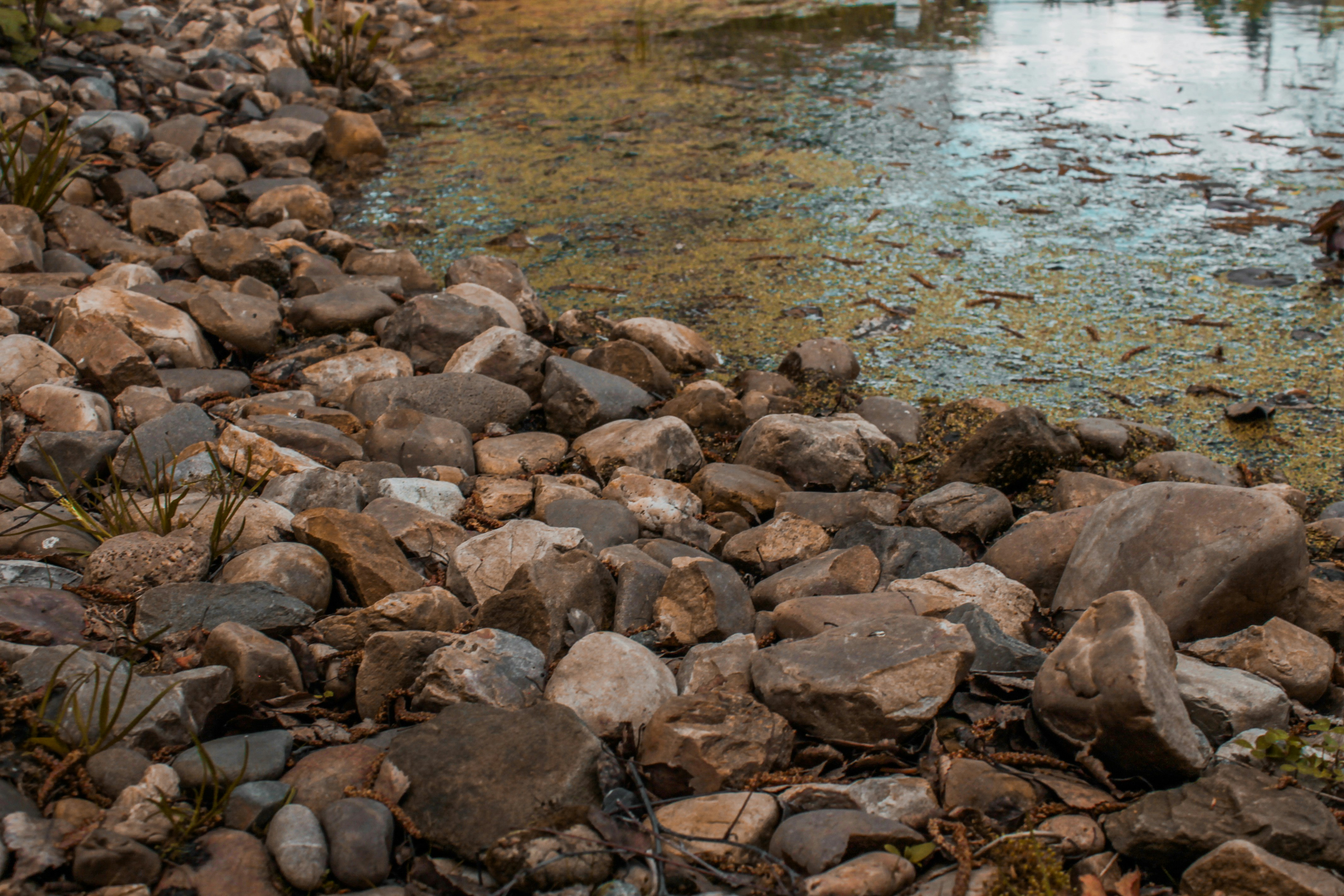 Photo by vvehkalahti