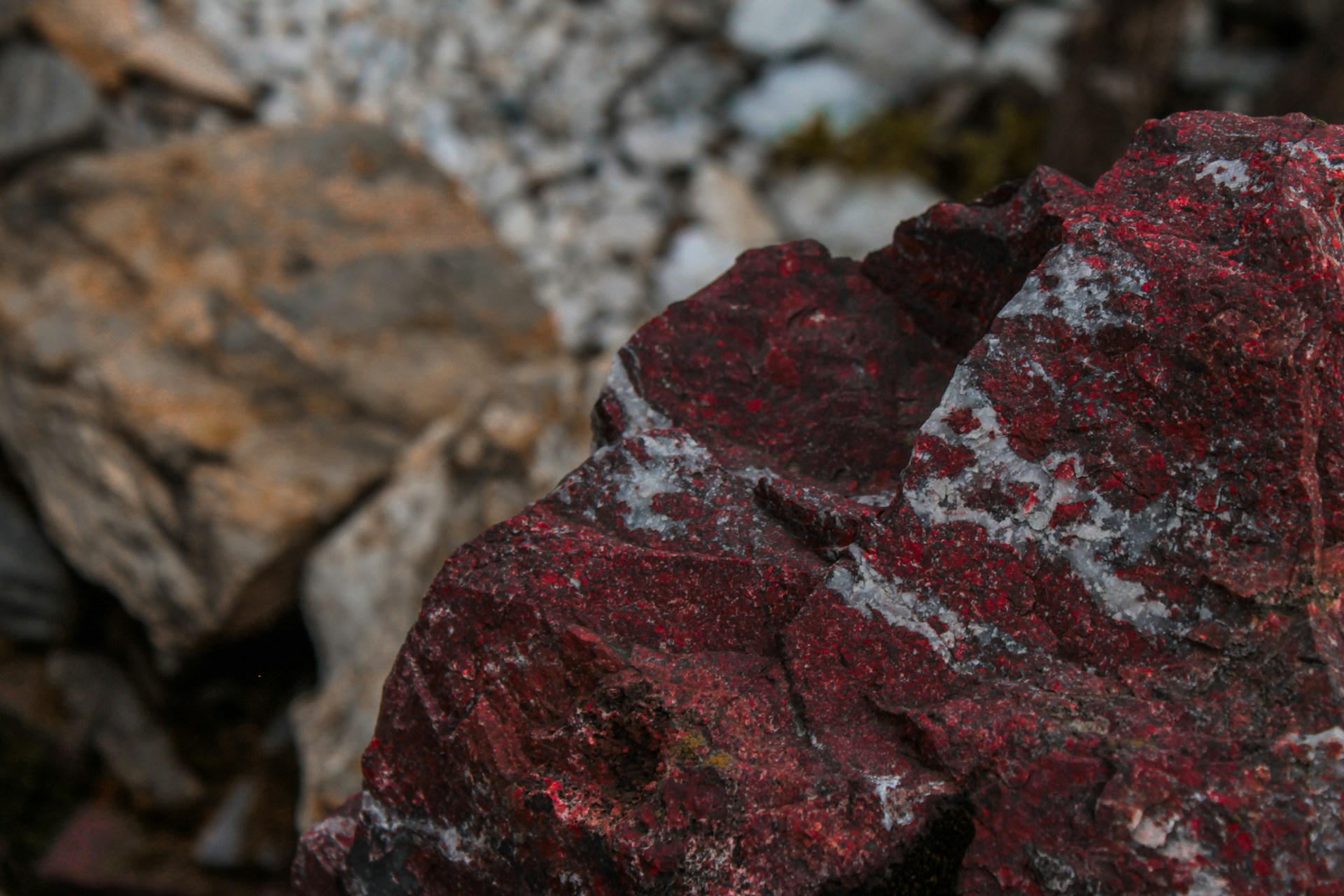 Close-up of a textured red and white rock.