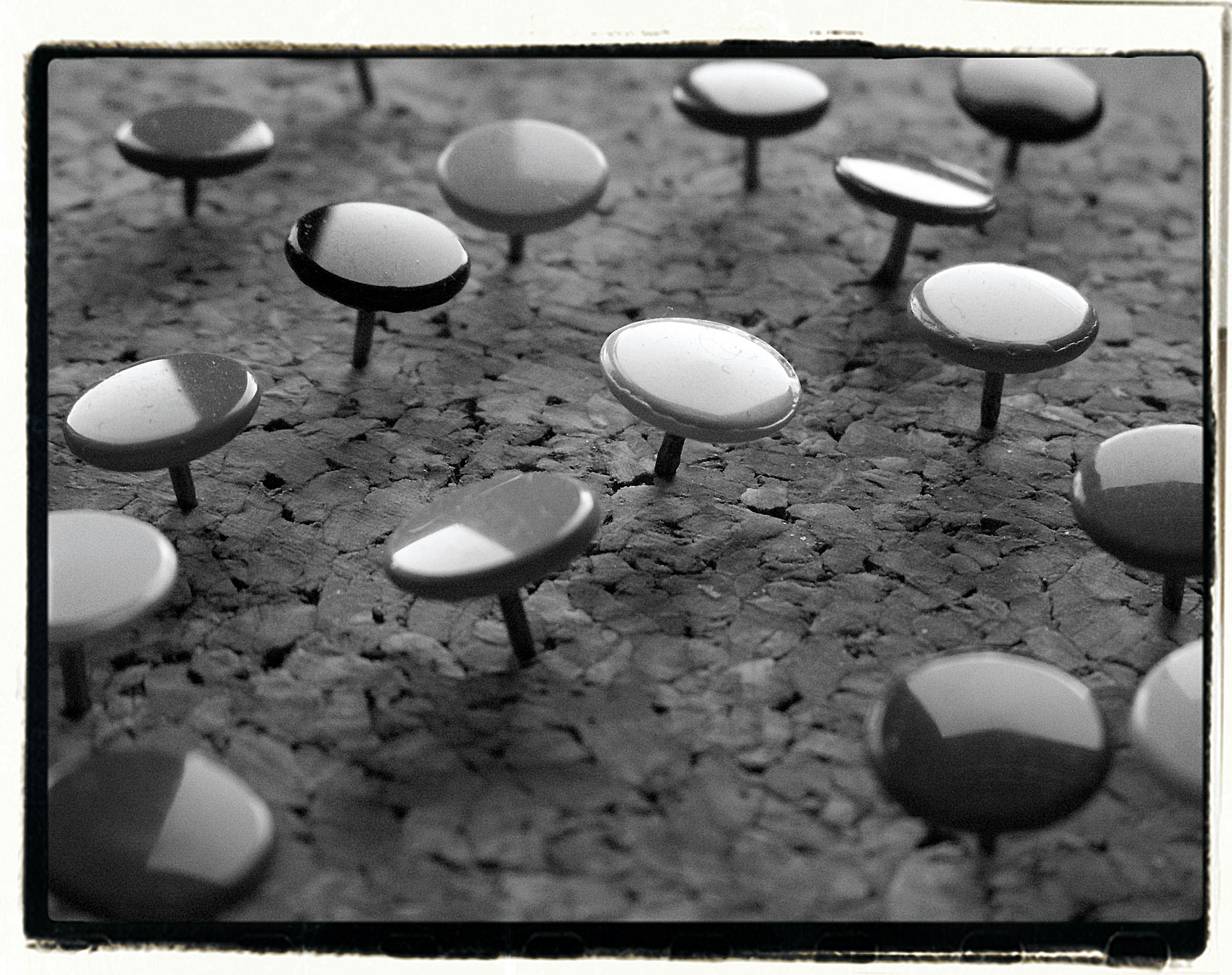 コルクボードにたくさんの画鋲