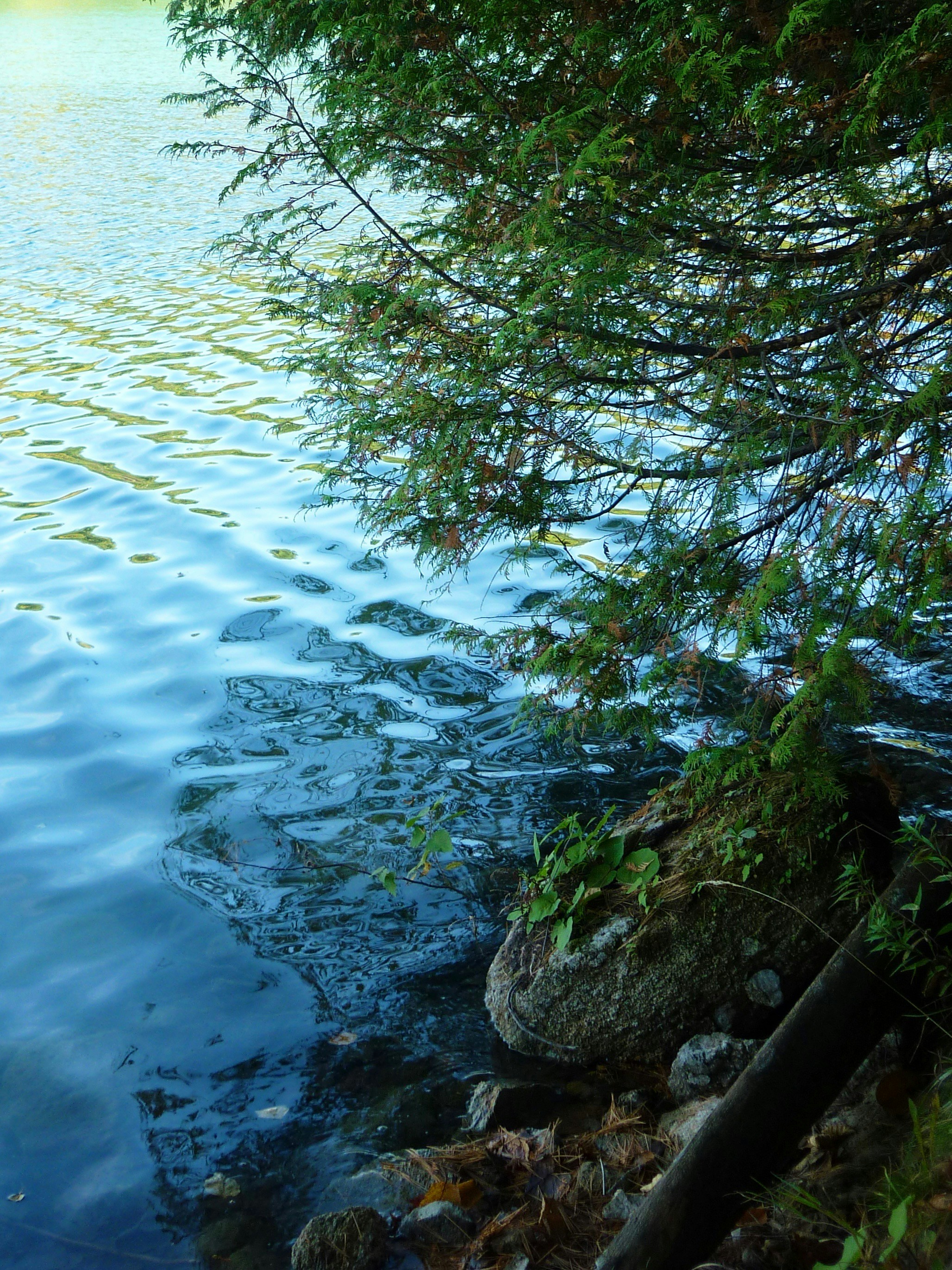 Photo by manglisamochi