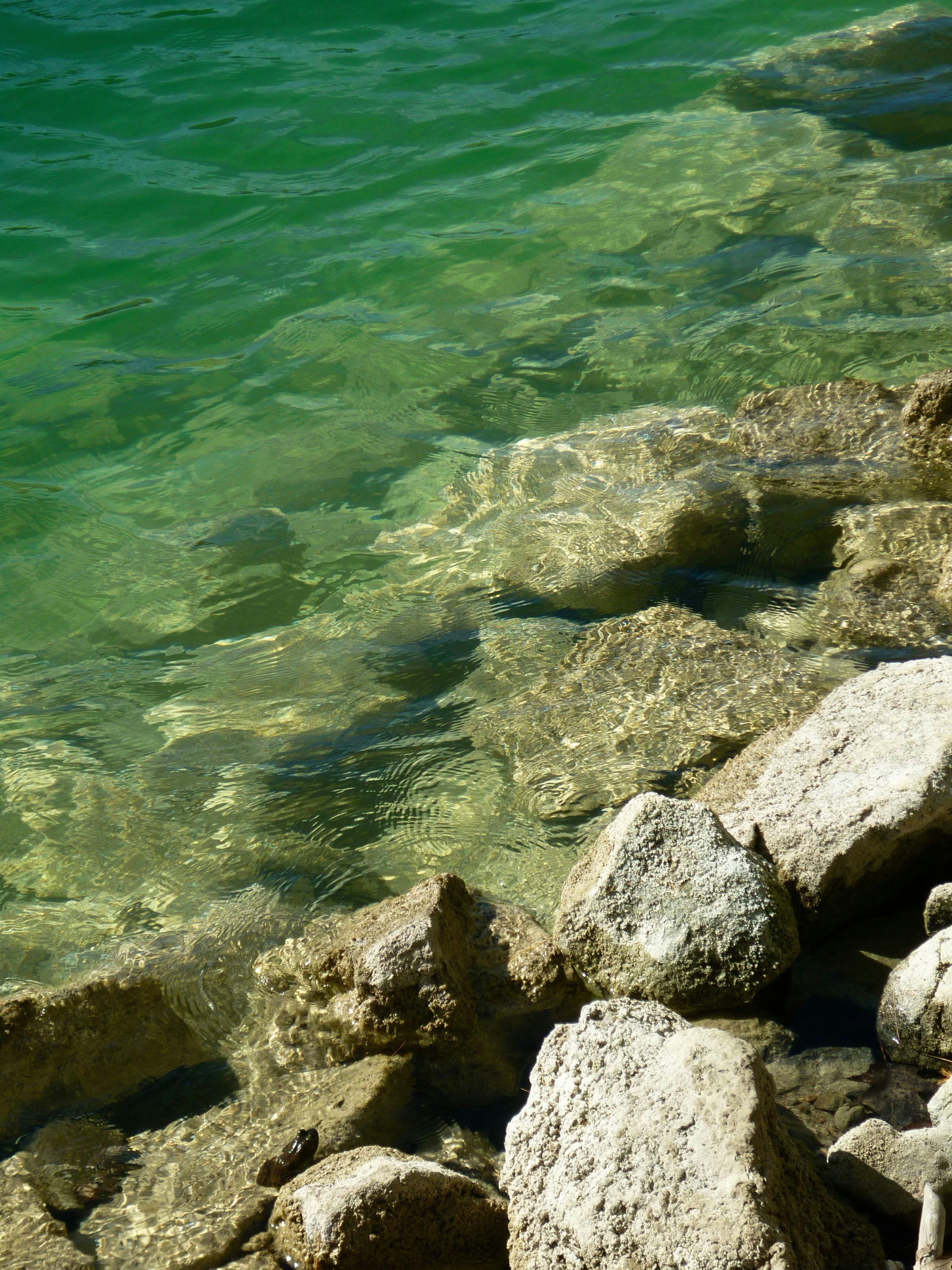 Photo by manglisamochi