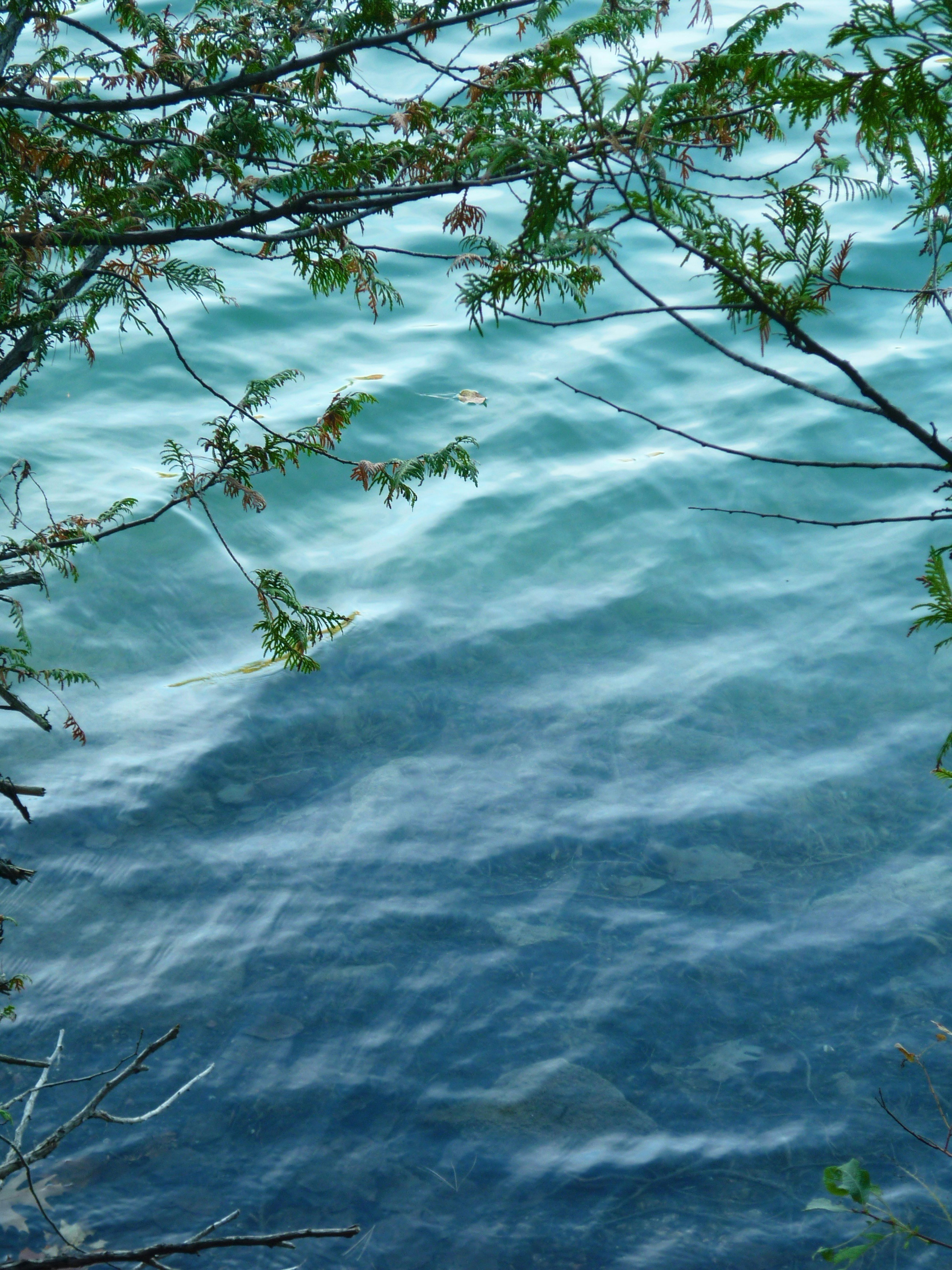 Photo by manglisamochi