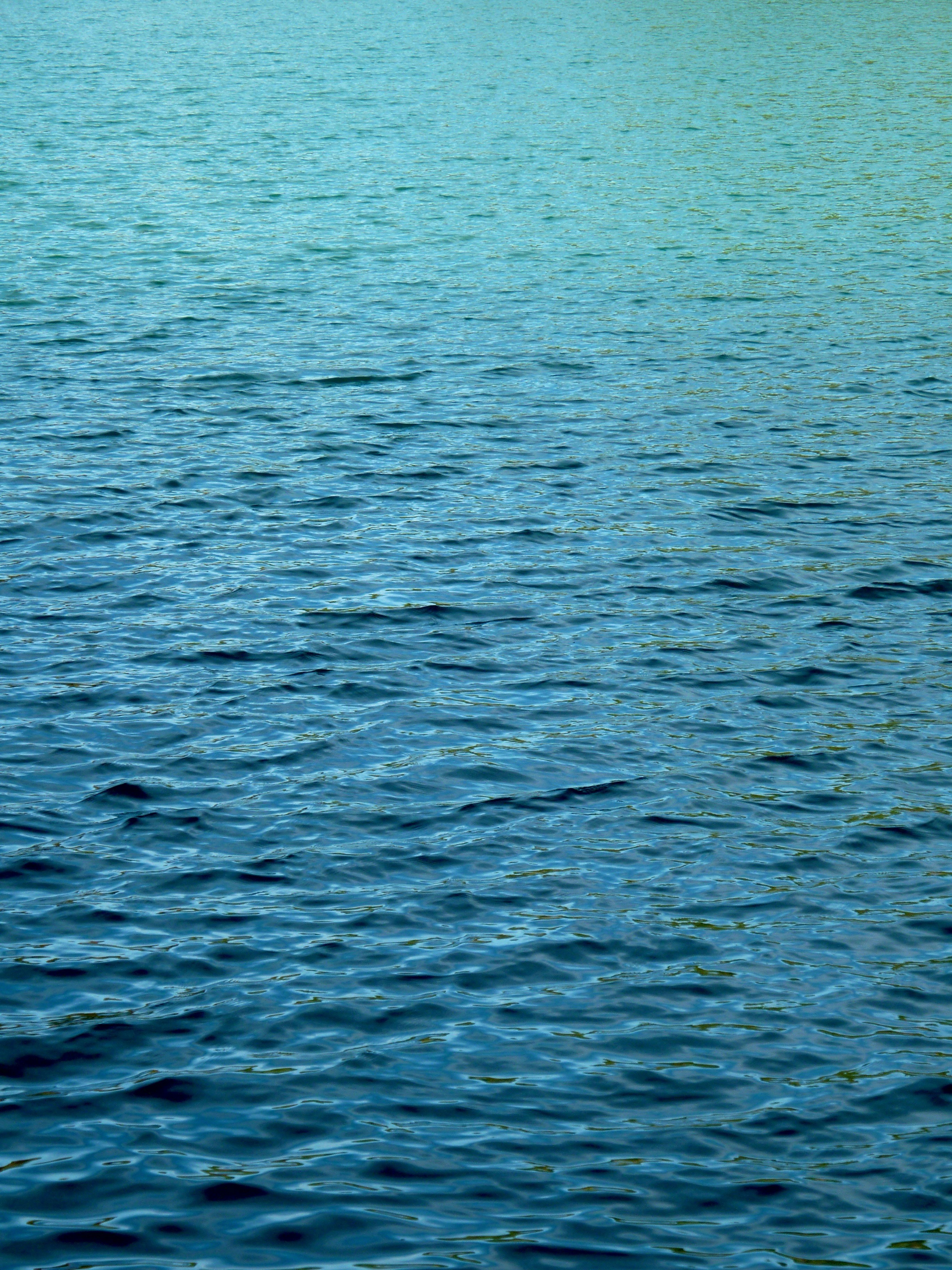 Photo by manglisamochi