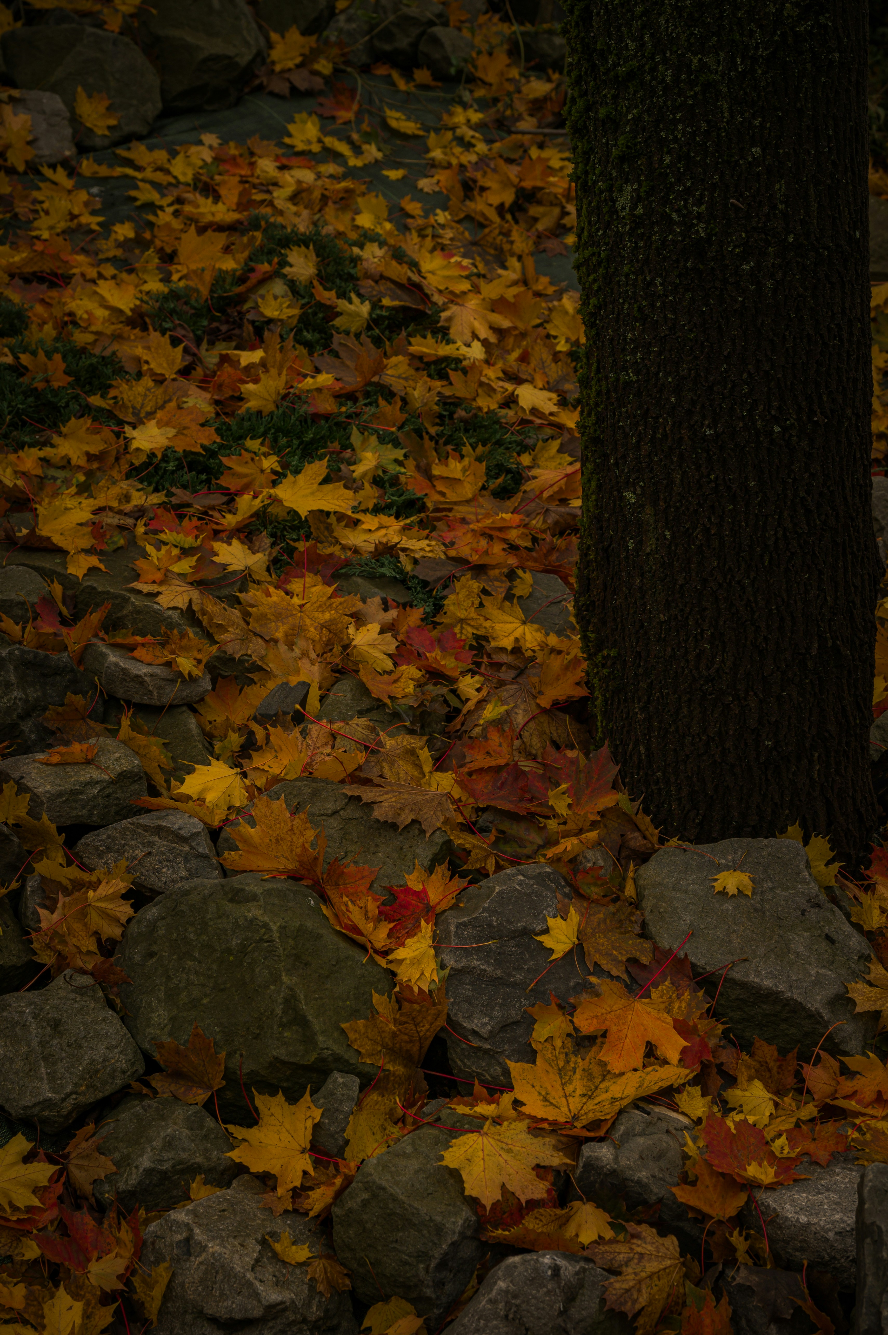 Photo by alexandra_p_d