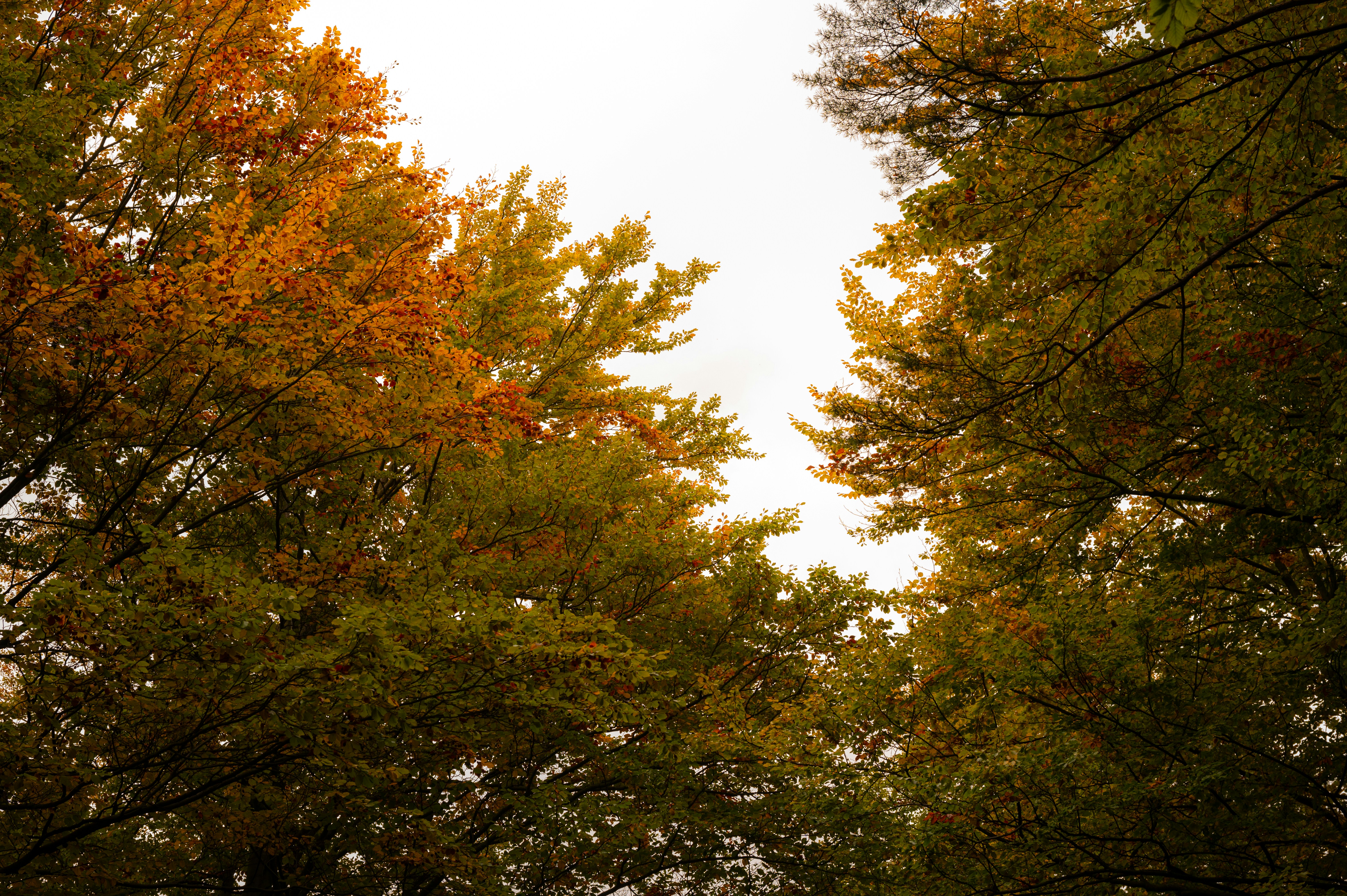 Photo by alexandra_p_d